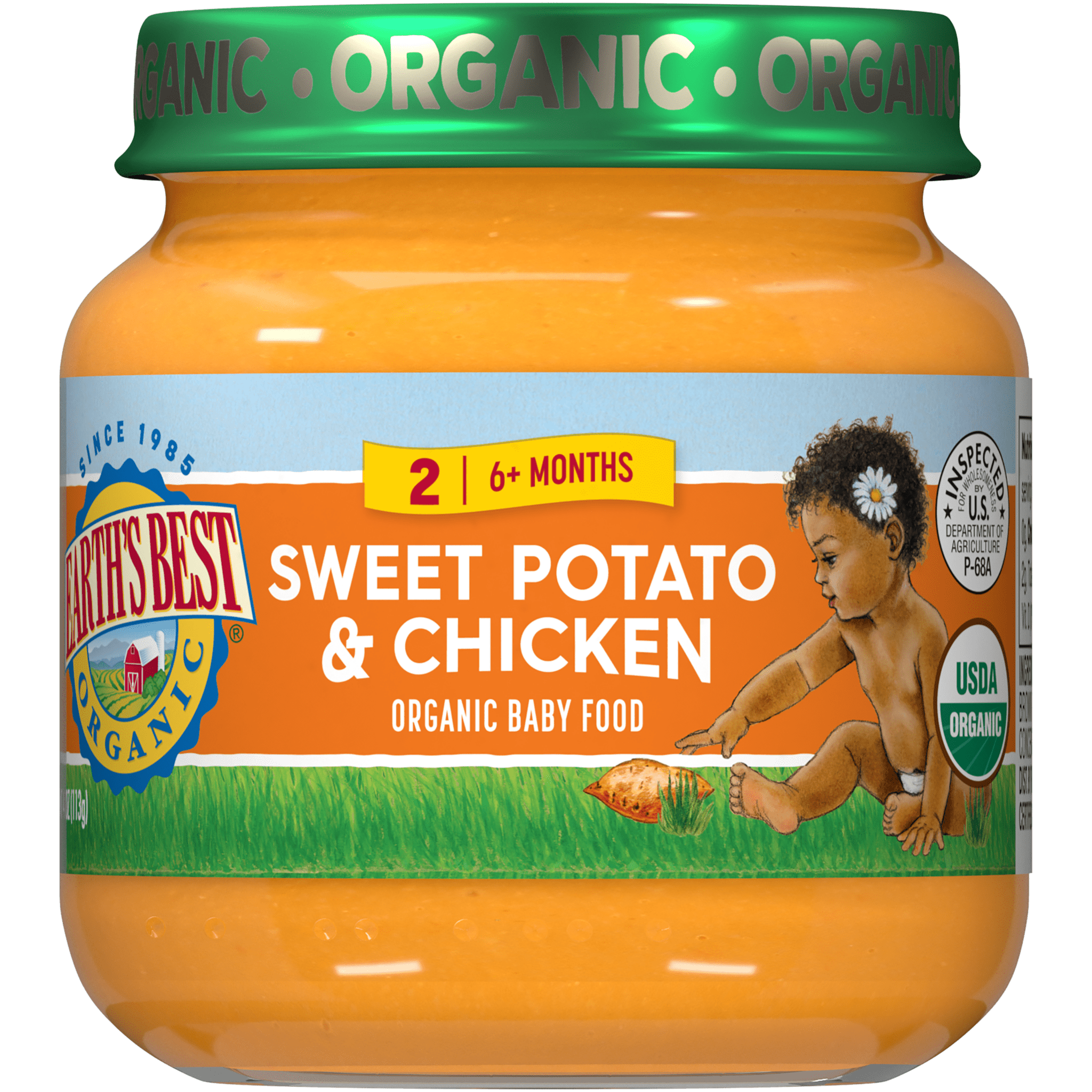 Earth's Best Stage 2 Baby Food