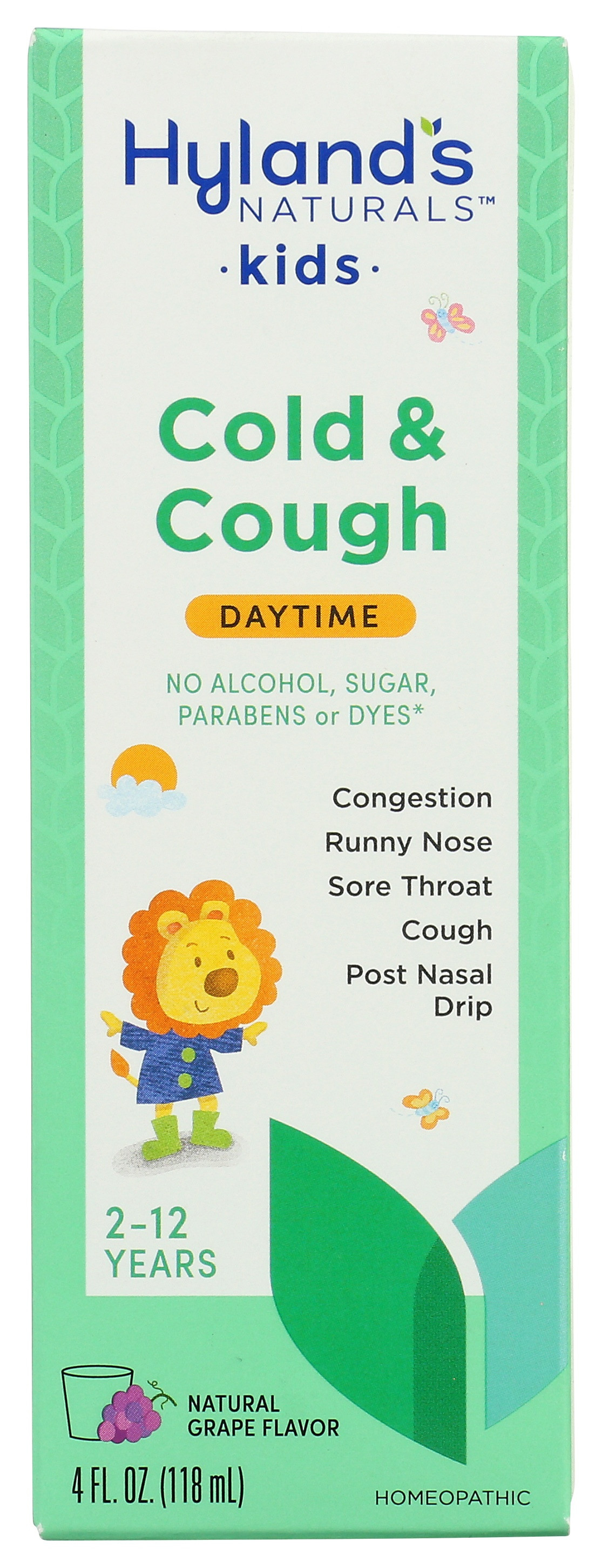 Hyland's Kid's Daytime Cold 'n Cough Syrup