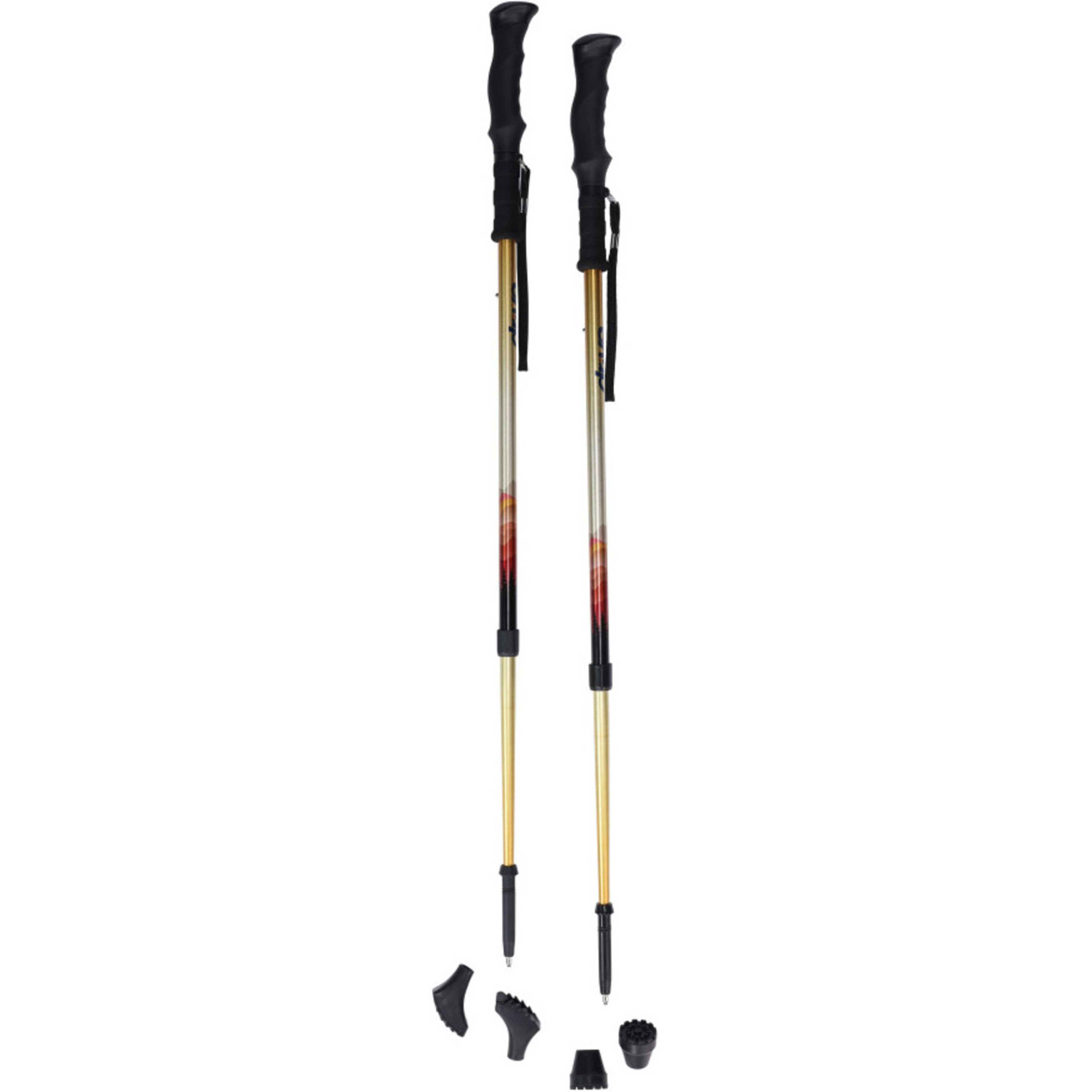 Drive Summit Walking Poles