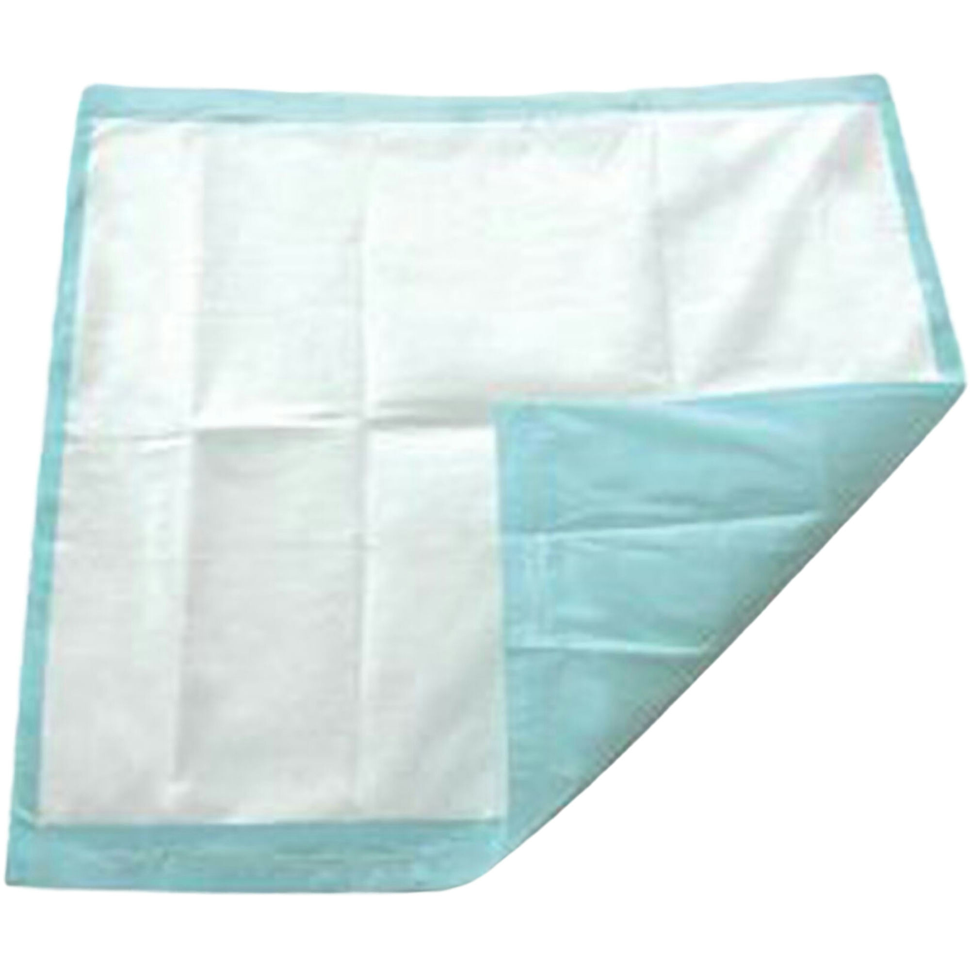 TotalDry Disposable Underpad, Light Absorbency