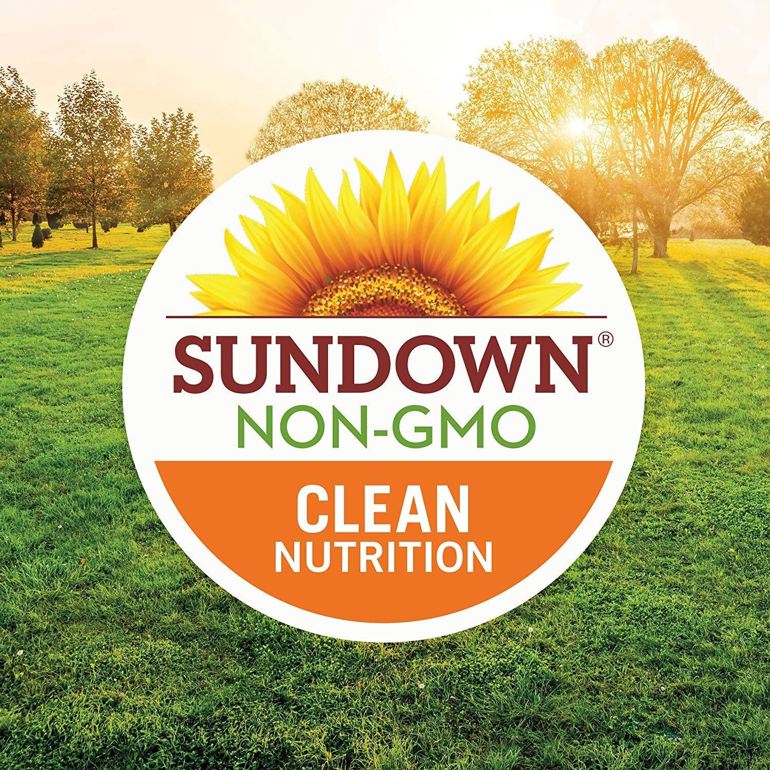 Sundown Vitamin B-12 500 mcg