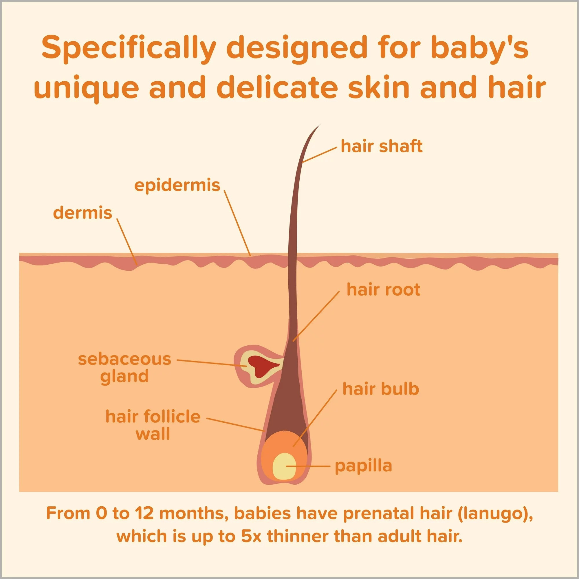 Johnson's Baby No More Tears Shampoo