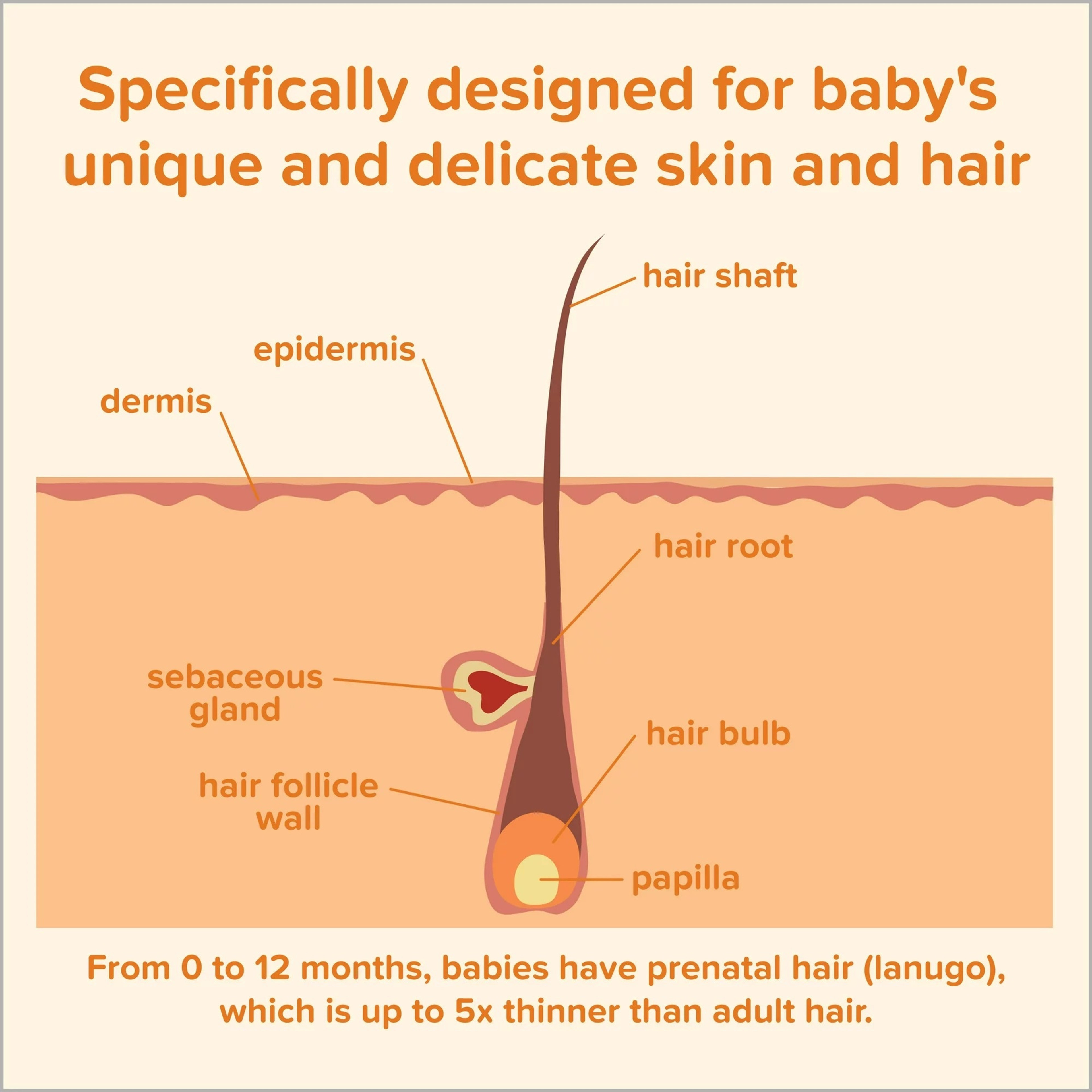 Johnson's Baby No More Tears Shampoo