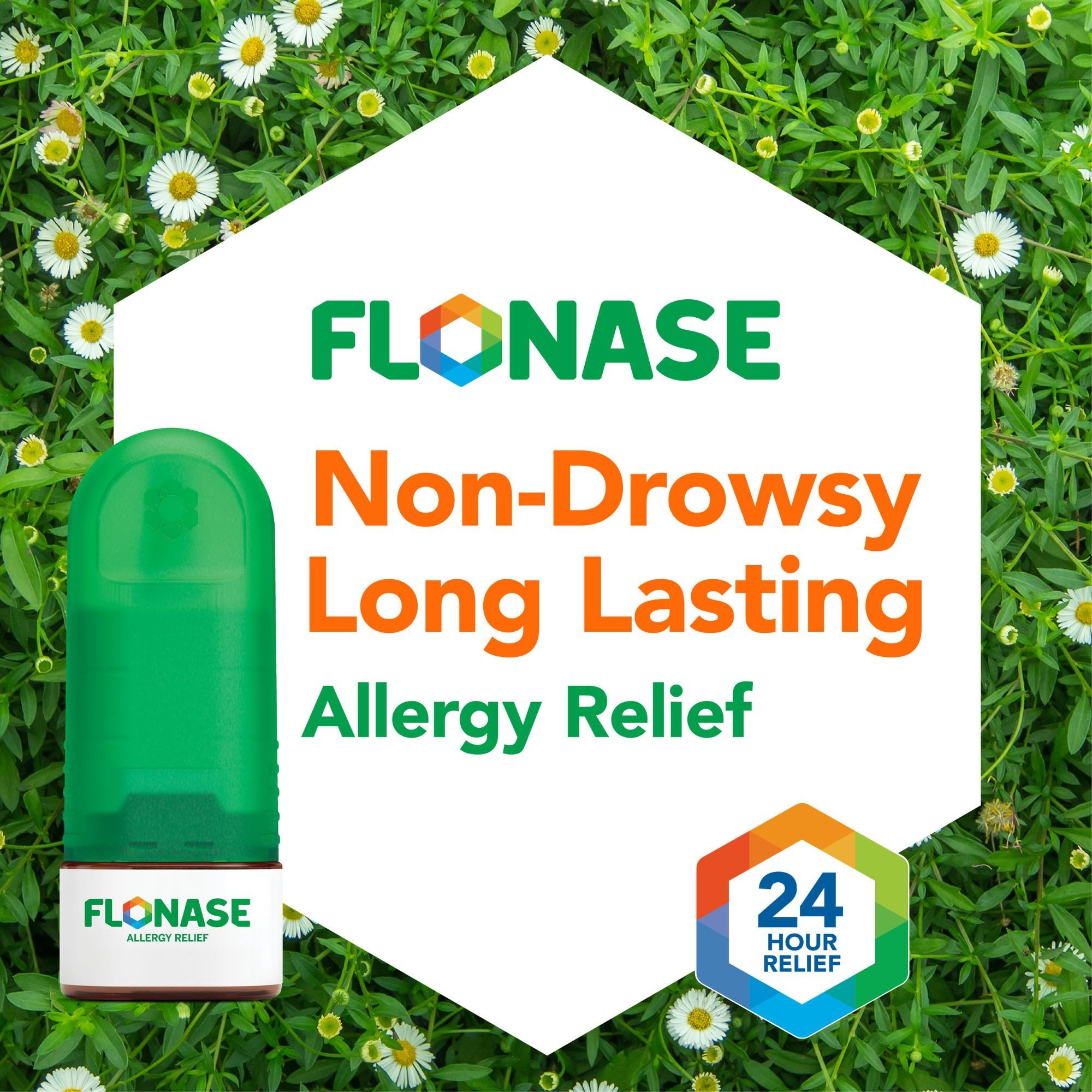 Flonase Allergy Relief Nasal Spray