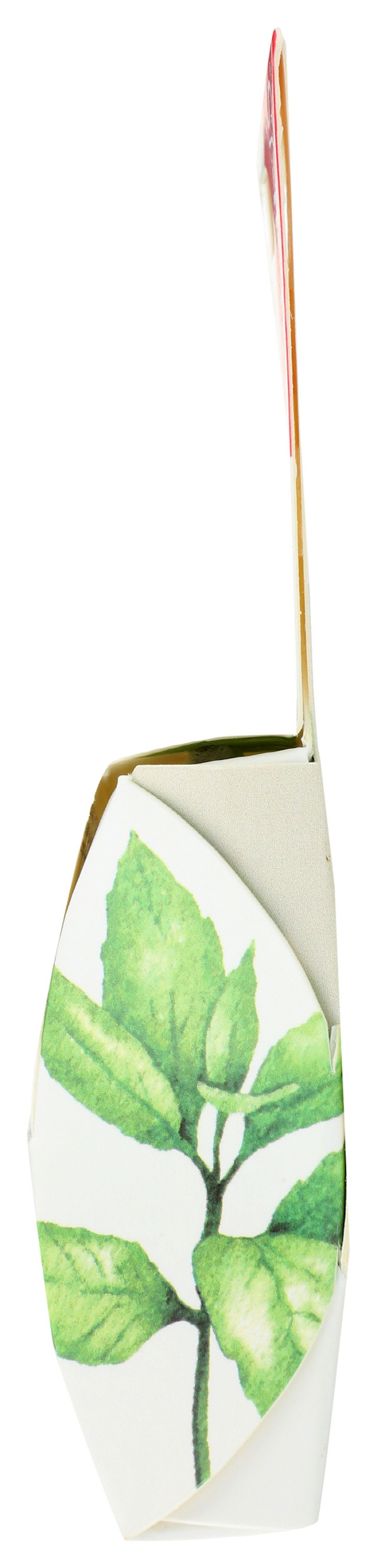 Radius Sponge Floss, Peppermint with Coconut Oil