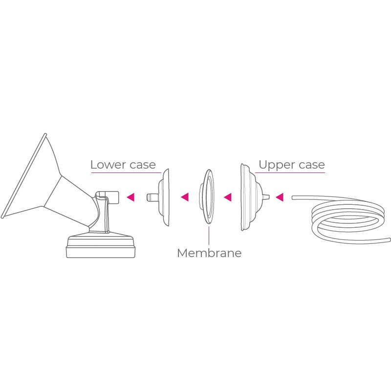 Spectra Backflow Protector