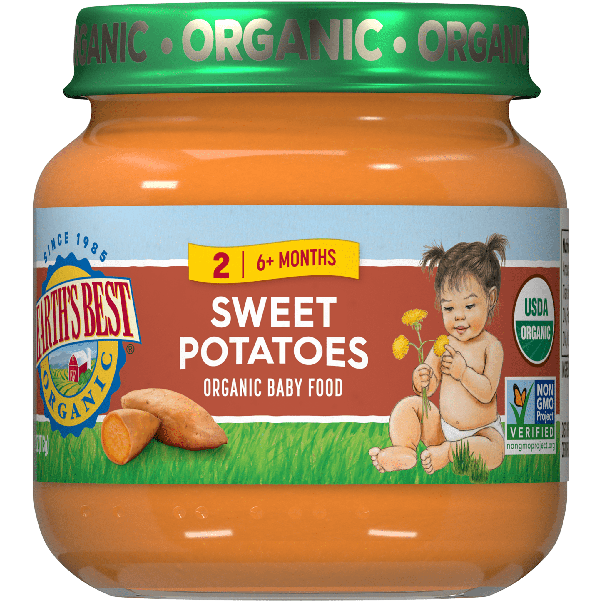 Earth's Best Stage 2 Baby Food