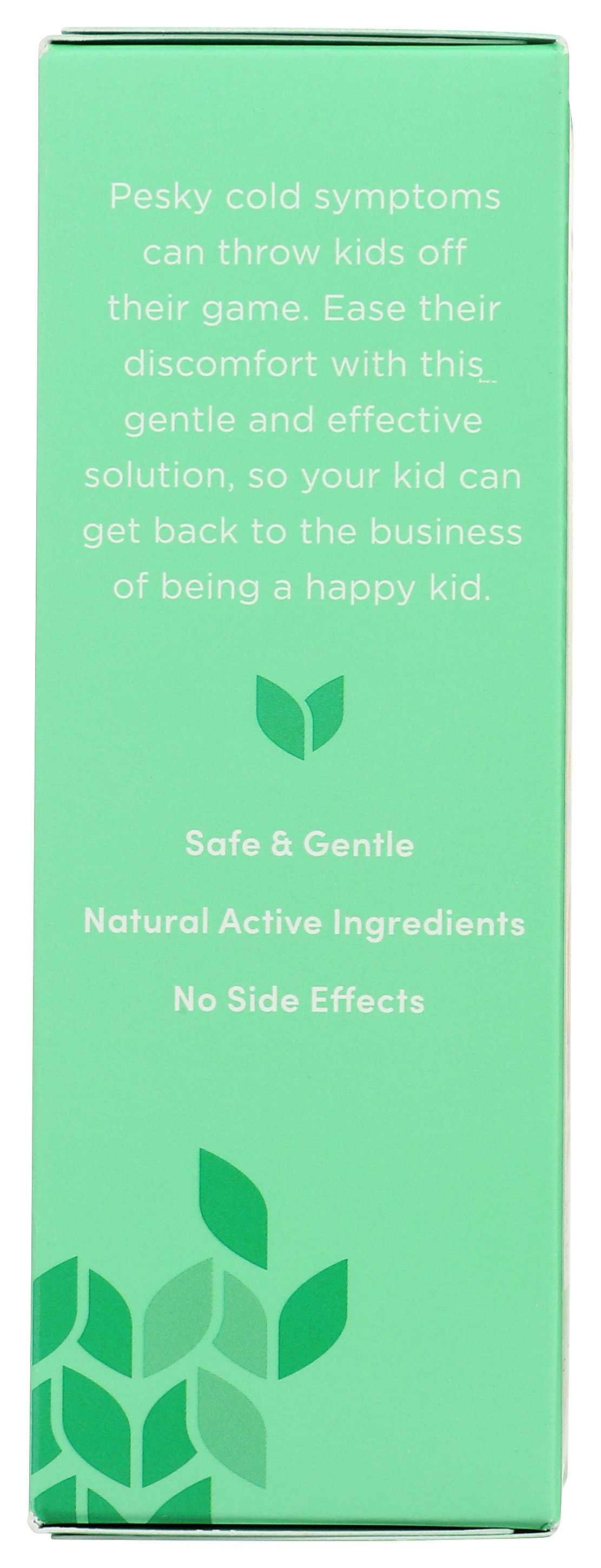 Hyland's Kid's Daytime Cold 'n Cough Syrup