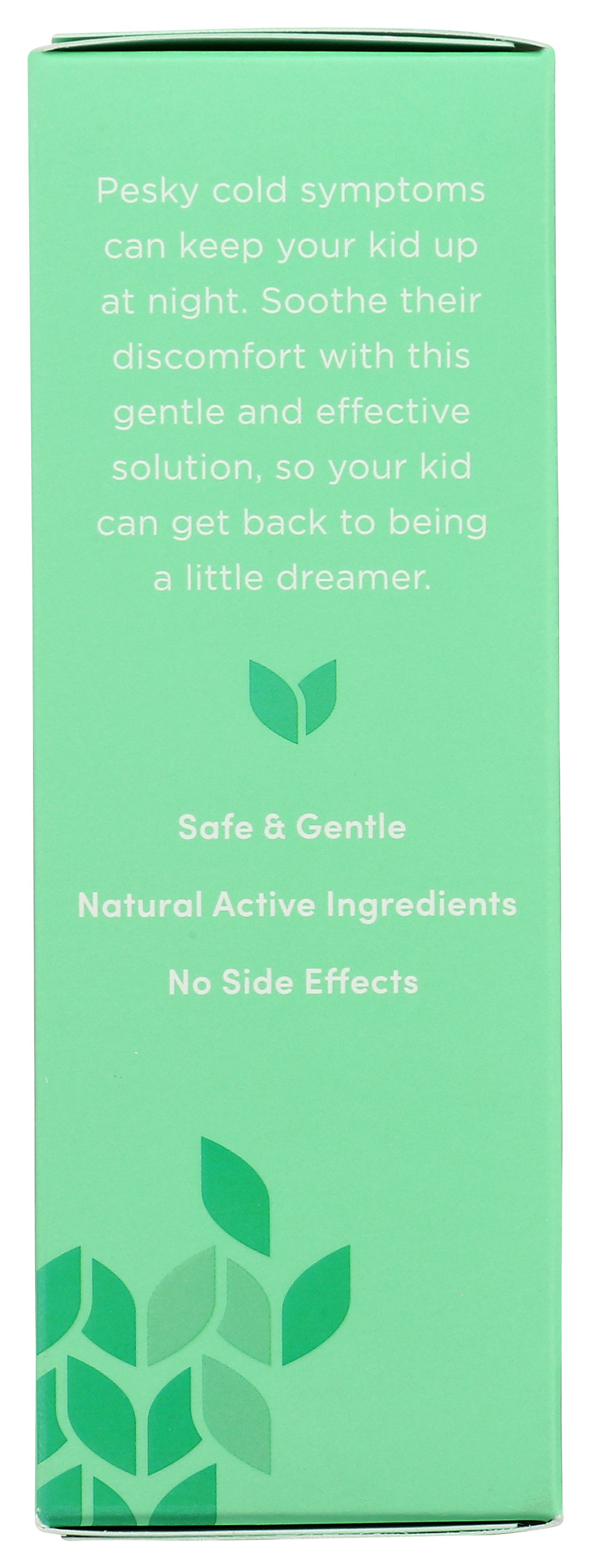 Hylands Kid's Nighttime Cold N Cough Syrup