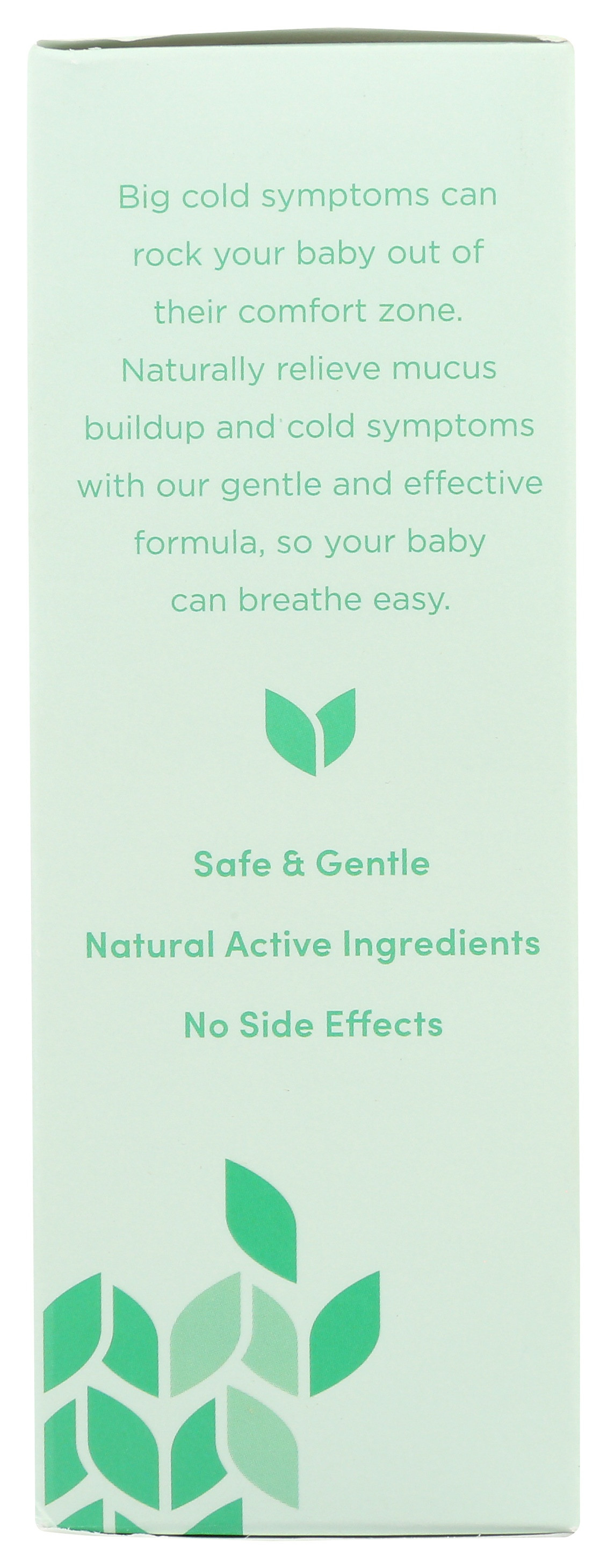 Hyland's Baby Daytime Mucous and Cold Relief Liquid