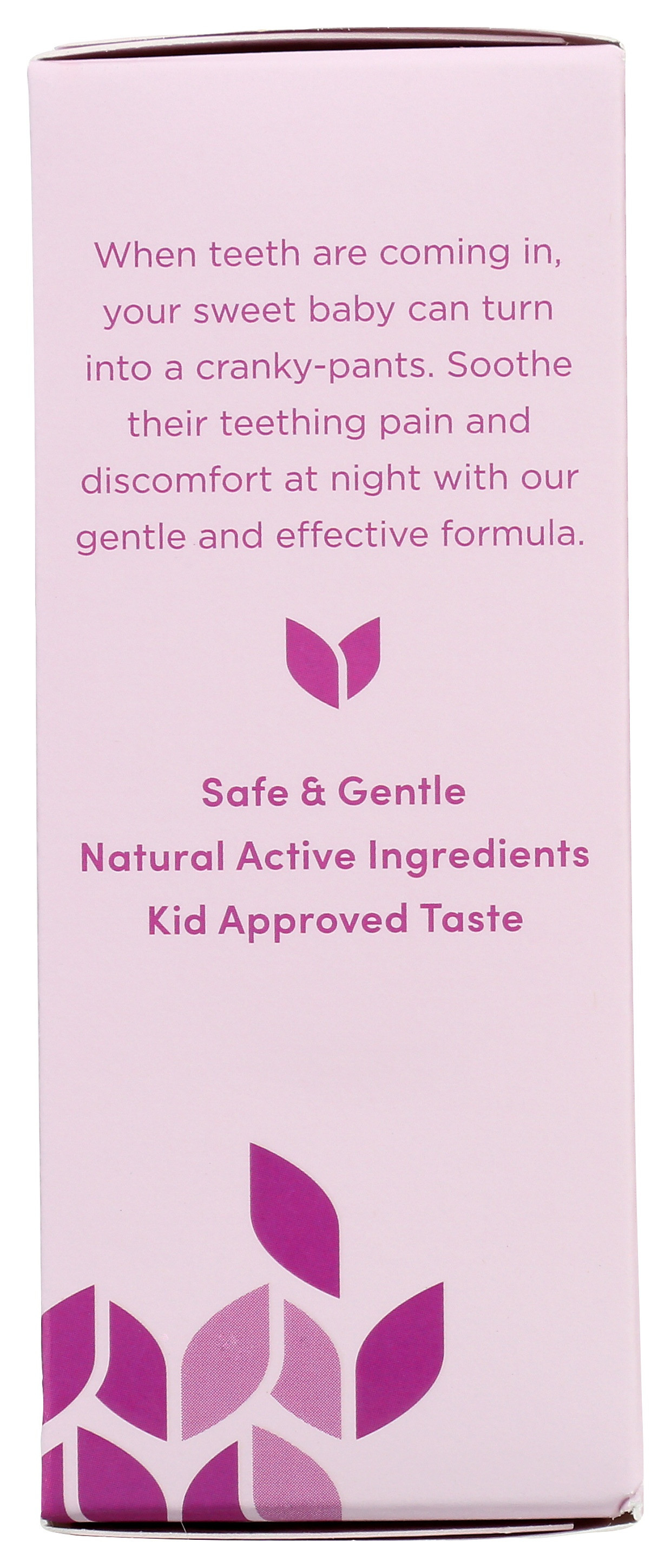 Hylands Baby Nighttime Oral Pain Relief Tablets