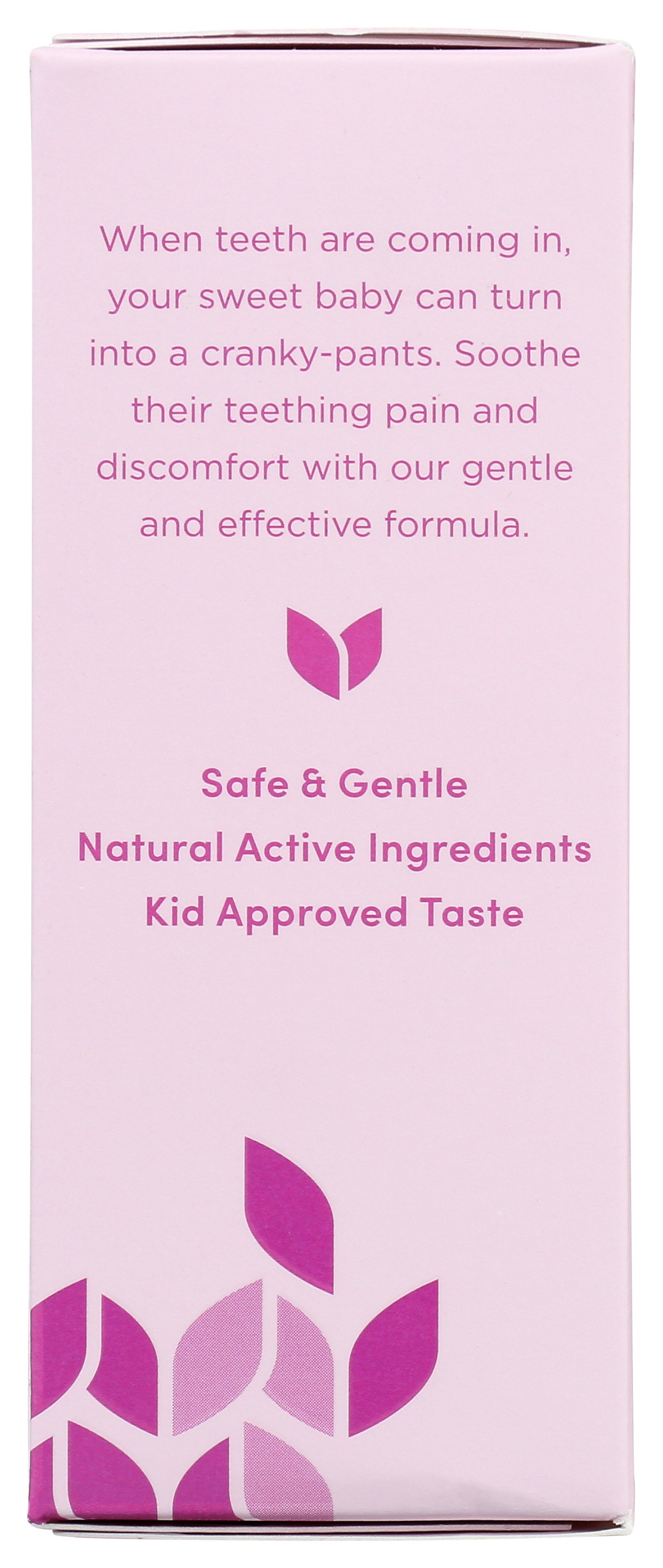 Hylands Baby Daytime Oral Pain Relief Tablets