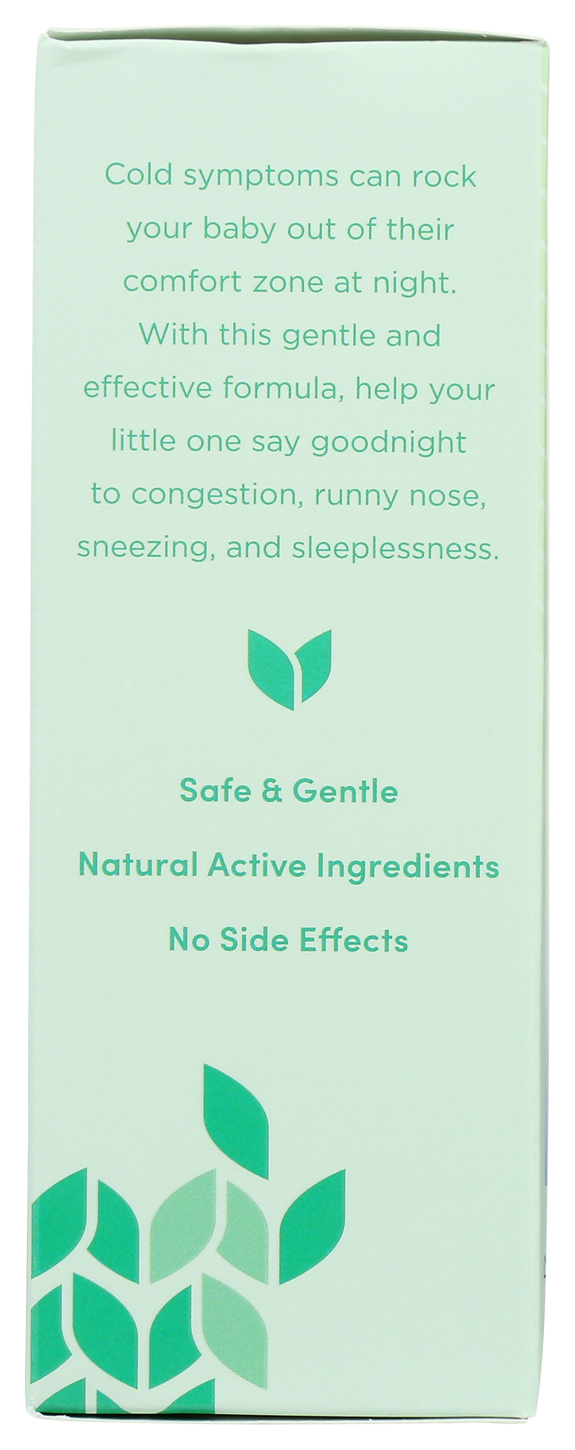 Hylands Baby Tiny Cold Nighttime Syrup