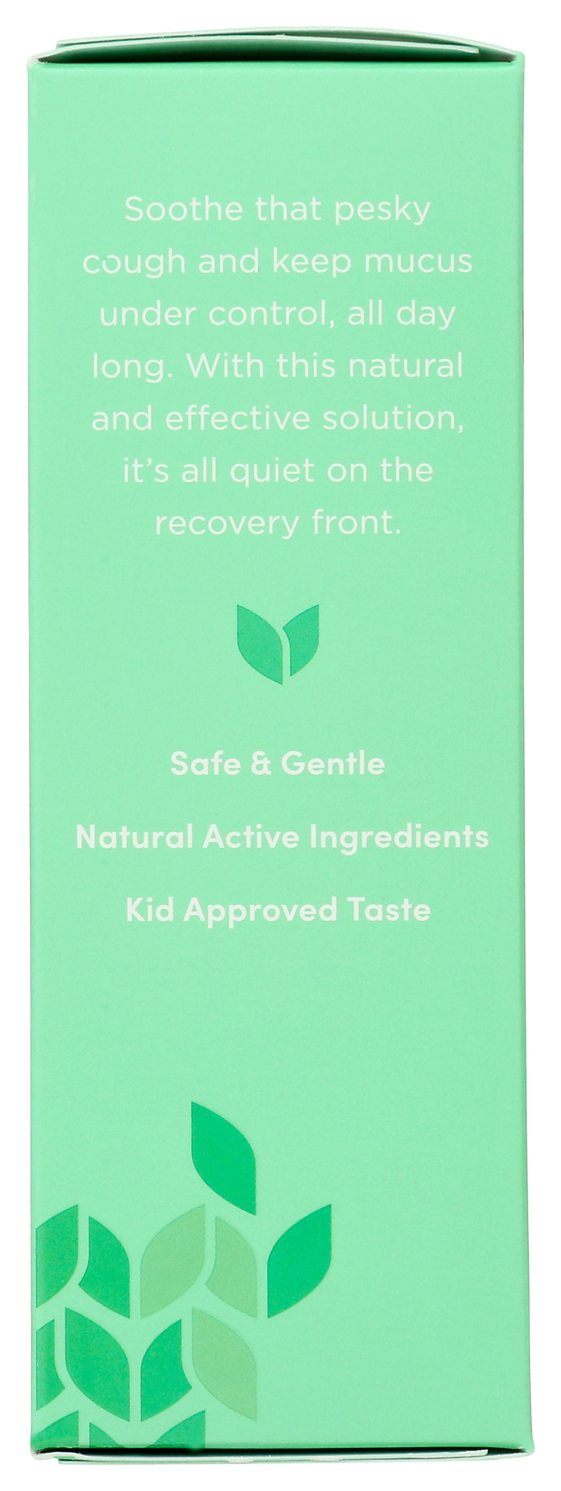 Hyland's Kid's Cough & Mucus Daytime Syrup