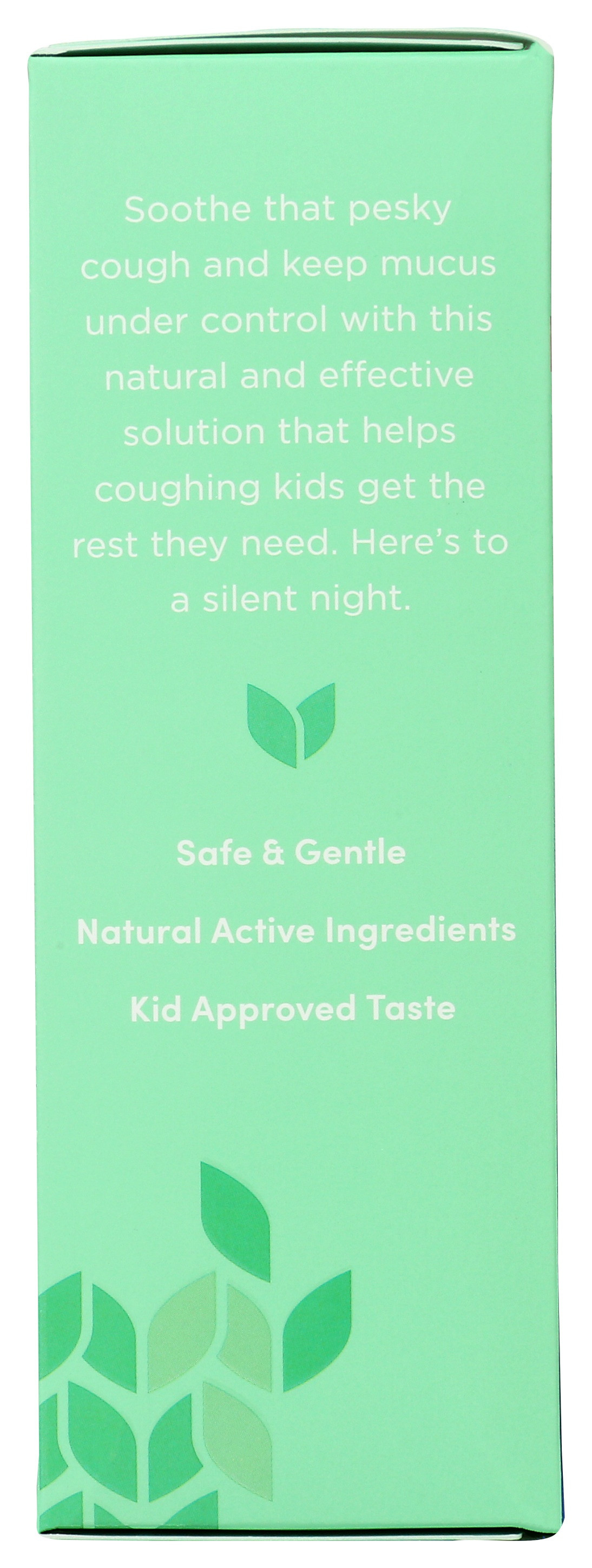 Hyland's Kid's Cough & Mucus Nighttime Syrup