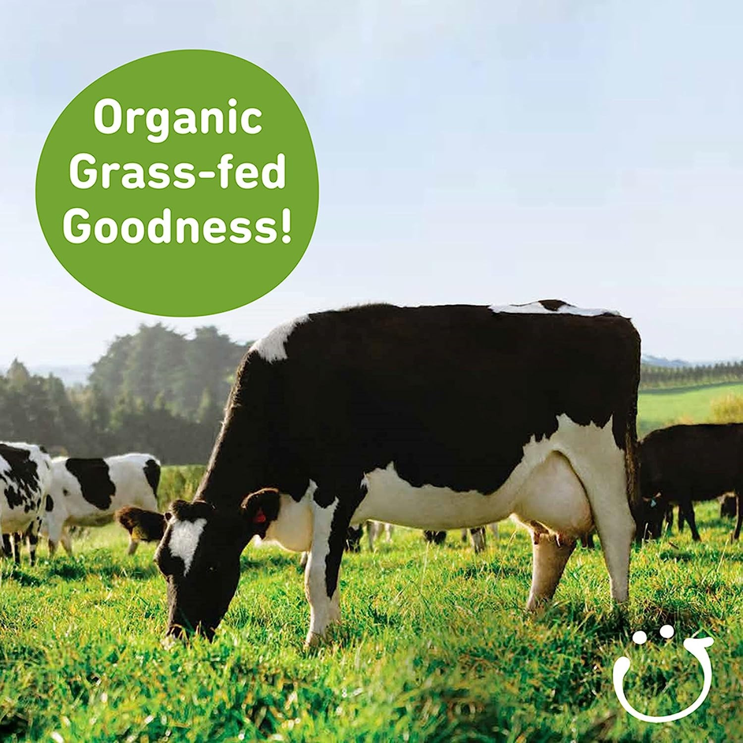 Aussie Bubs Grass Fed Milk-Based Toddler Formula