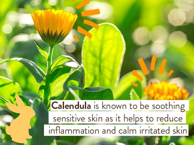 Babo Moisturizing Oat & Calendula Bubble Bath & Wash