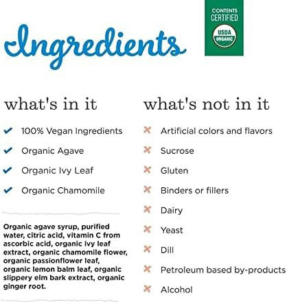 Mommy's Bliss Night Time Organic Baby Cough Syrup and Mucus Relief