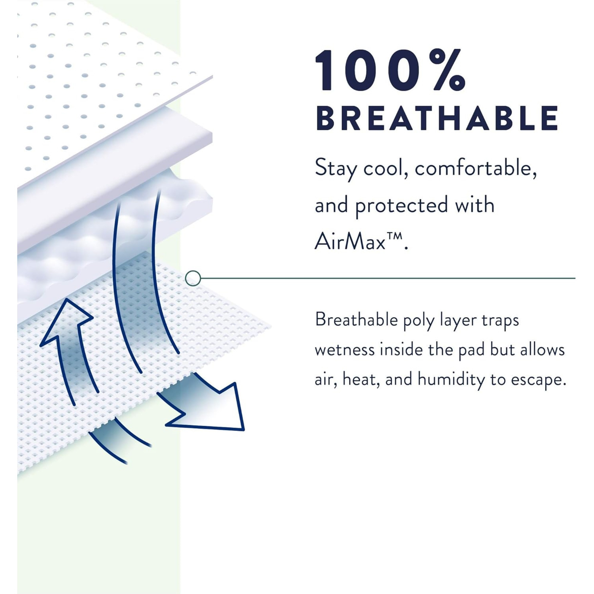 Prevail Adult Incontinence Pull-Up Underwear for Men & Women, Extra Absorbency