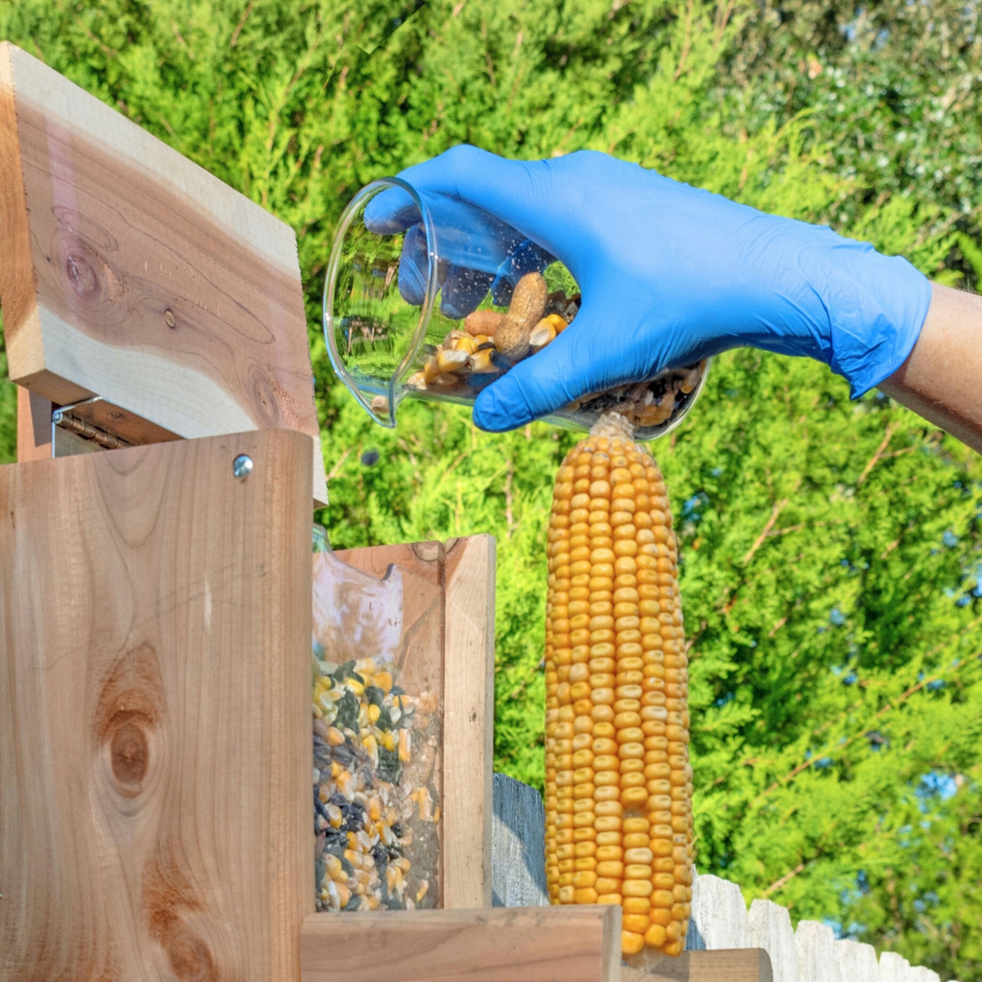 CareStock Blue Nitrile Exam Gloves