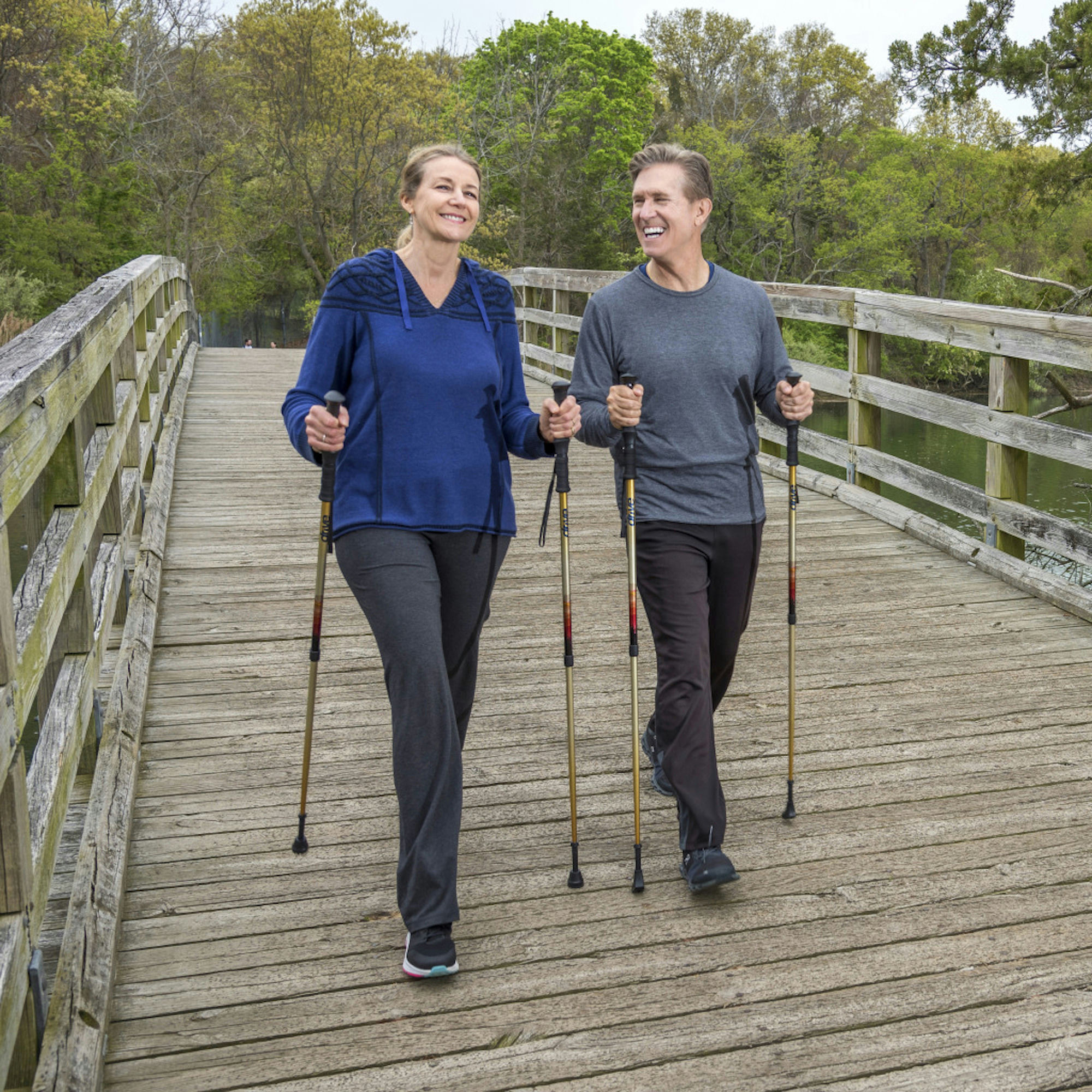 Drive Summit Walking Poles