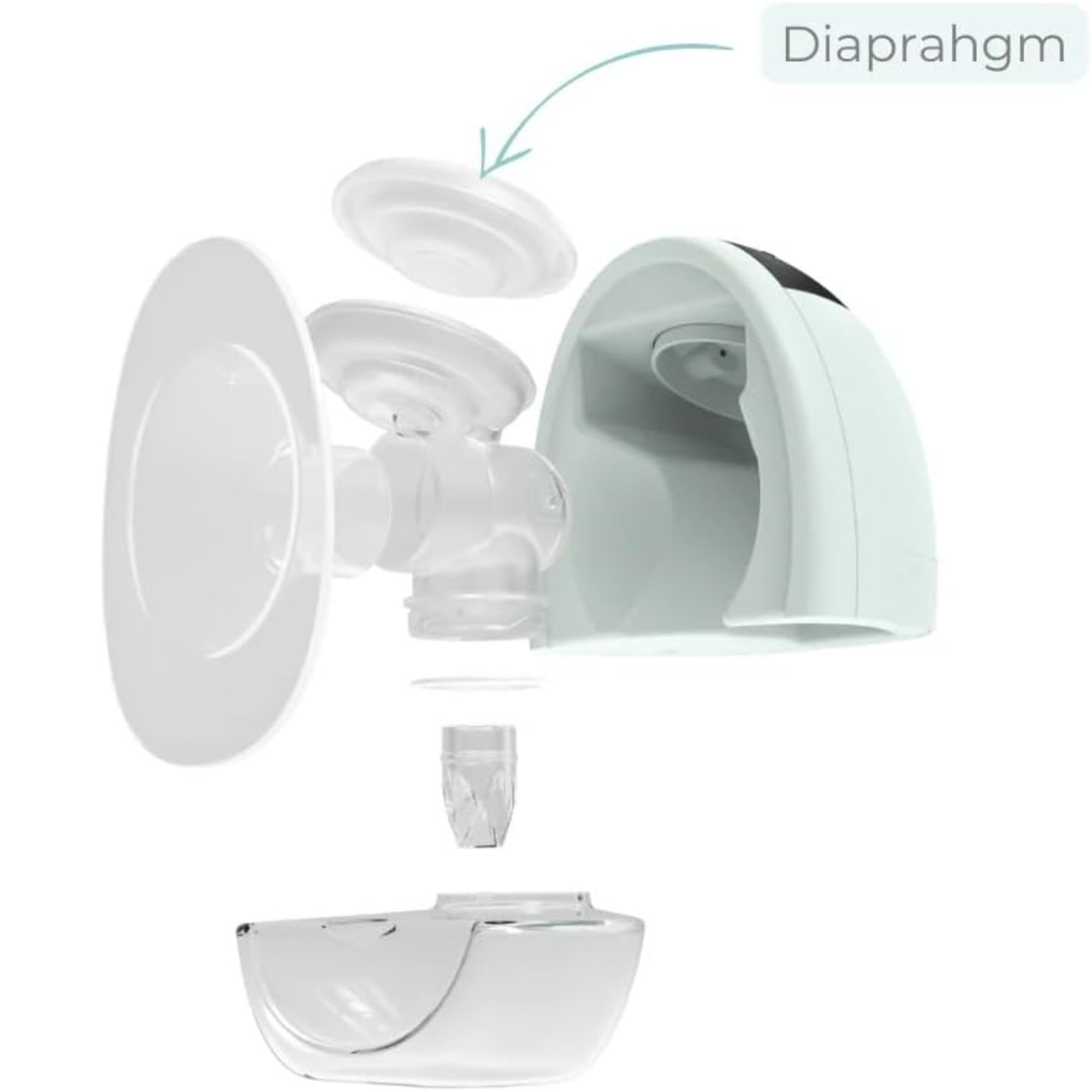 Zomee Fit Diaphragms