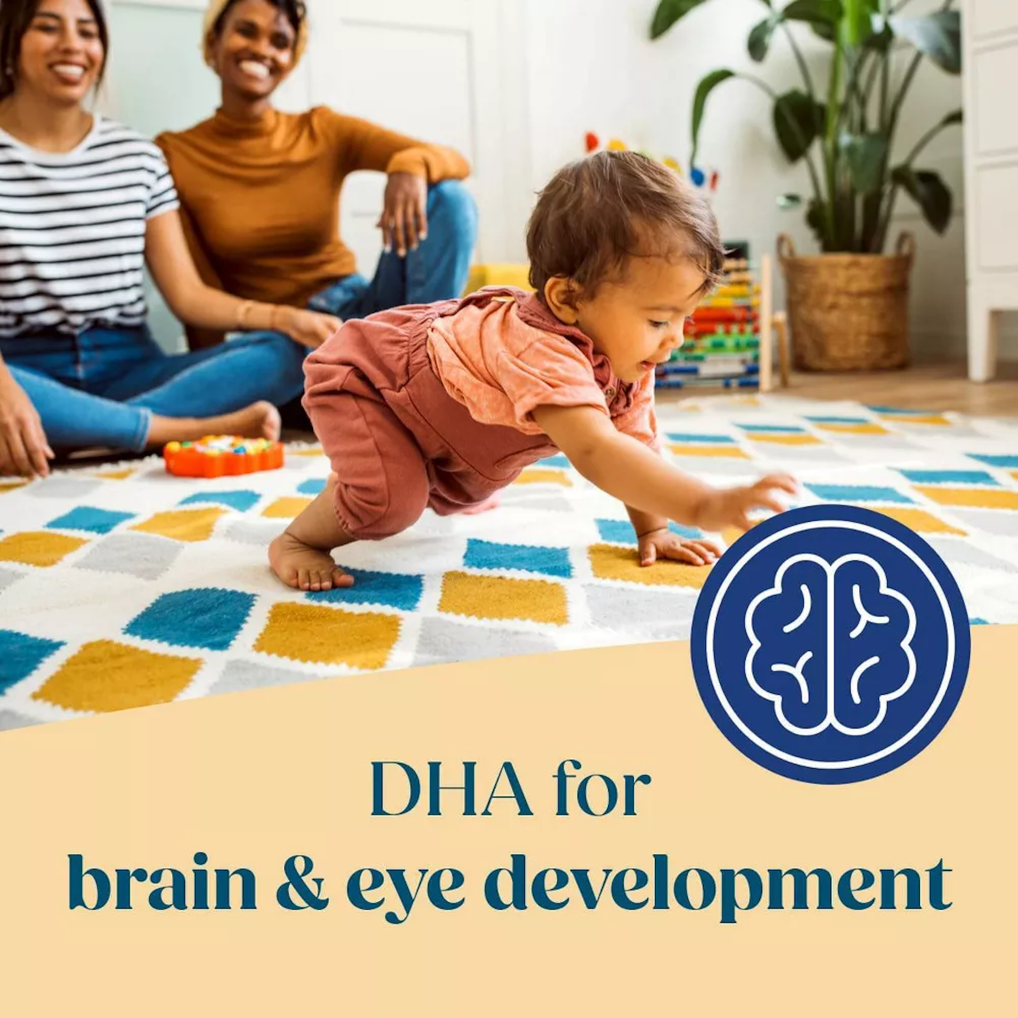 Similac Pure Bliss Irish Farms Infant Formula with Iron