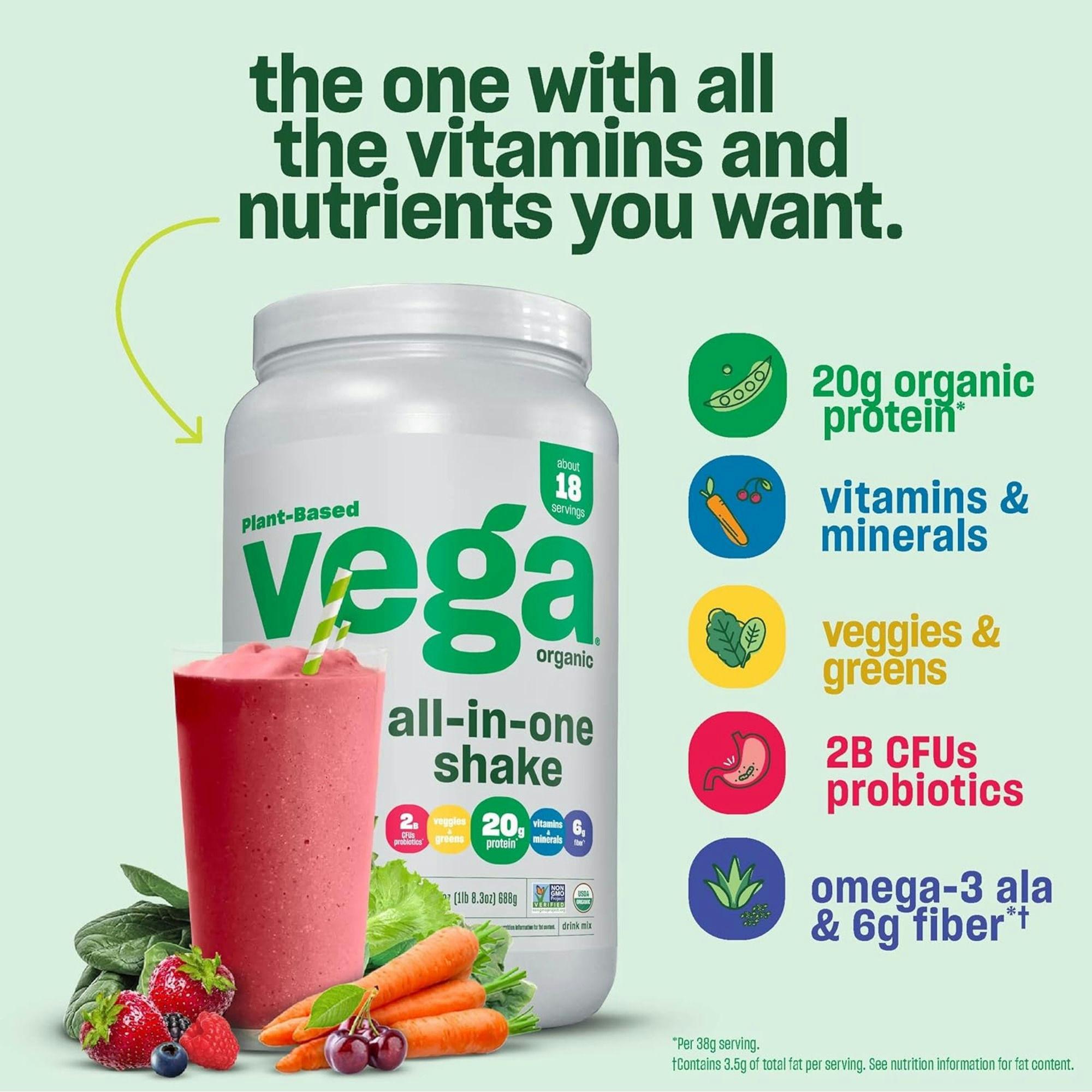 Vega Plant Organic Based One All in One Shake Drink Mix