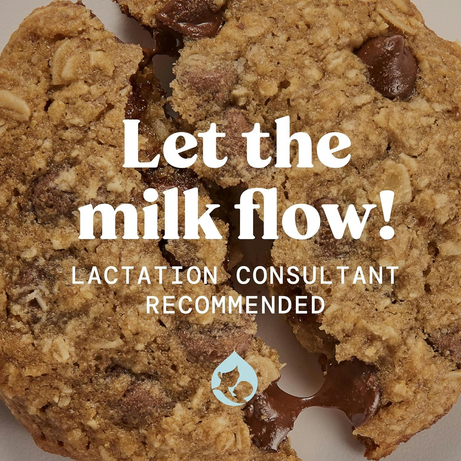 Mommy Knows Best Lactation Cookie Mix