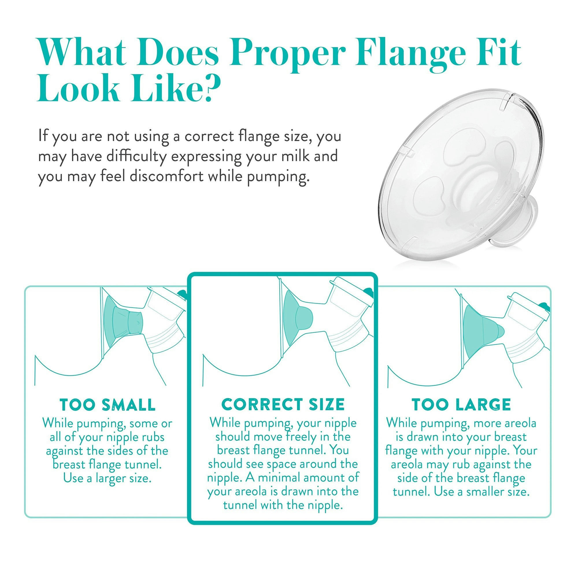 Evenflo AdvancedFit Flange Inserts