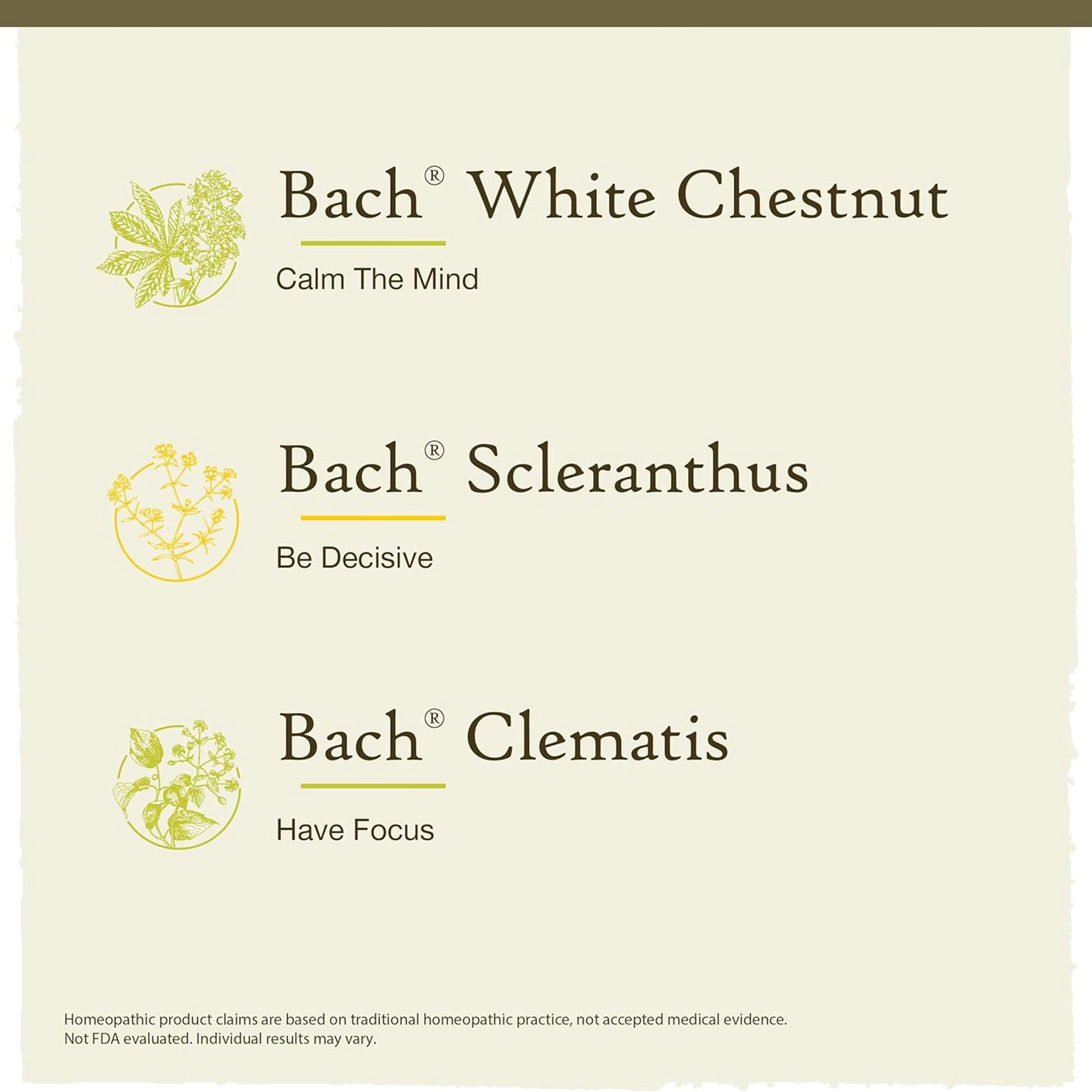 Bach Clarity Of Mind Focus Kit