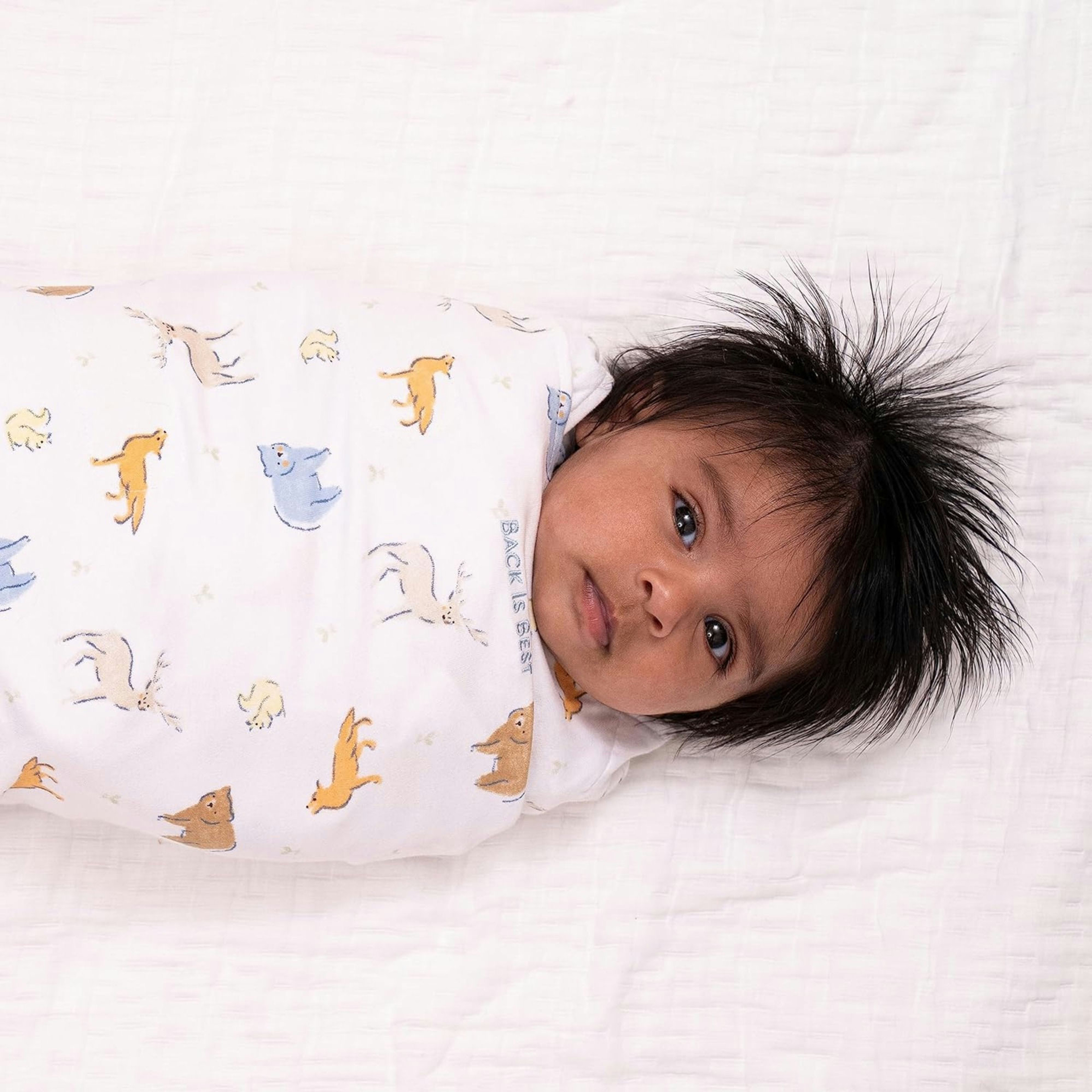 Halo SleepSack Swaddle