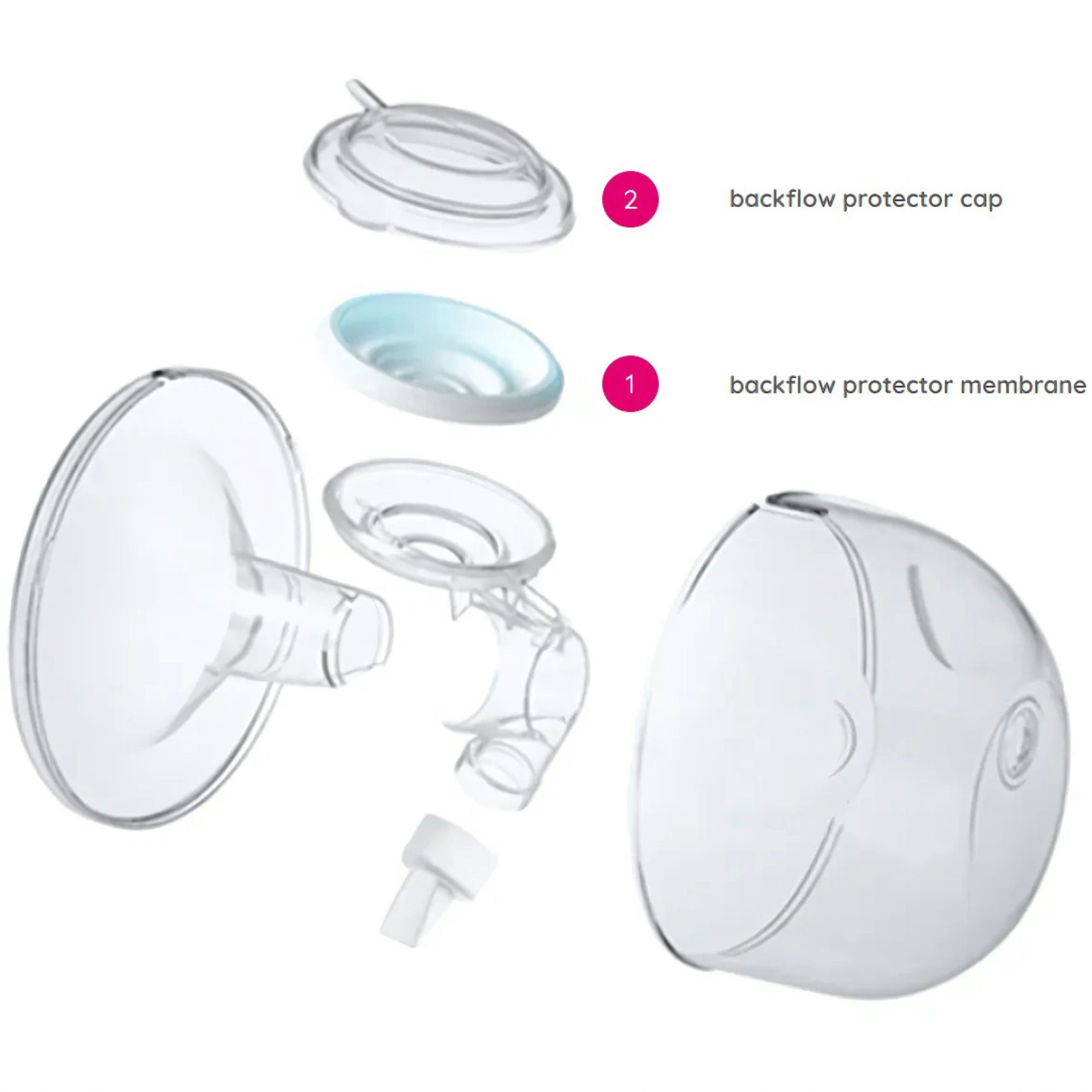 Spectra CaraCups Backflow Protector Replacement Kit