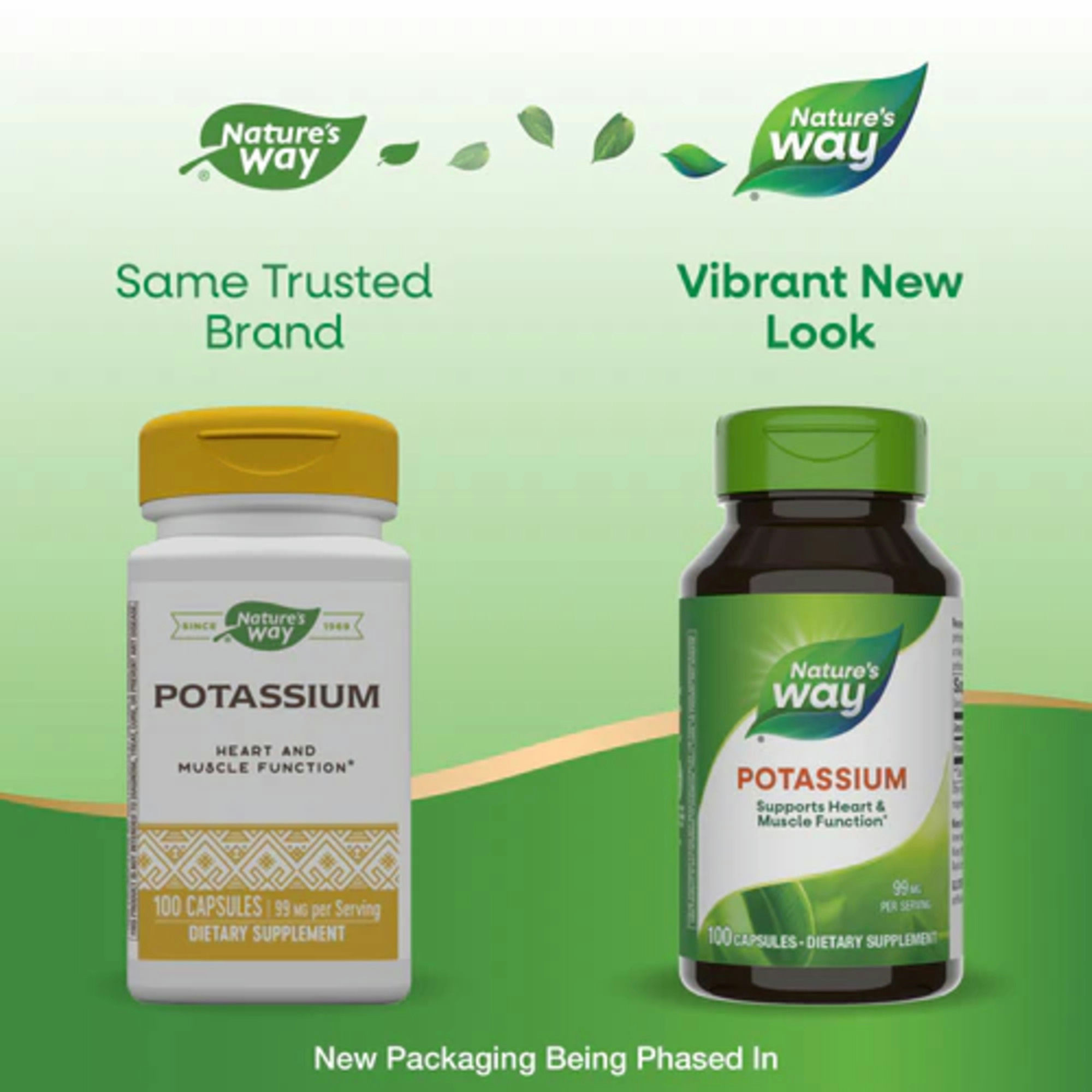 Nature's Way Potassium Dietary Supplement