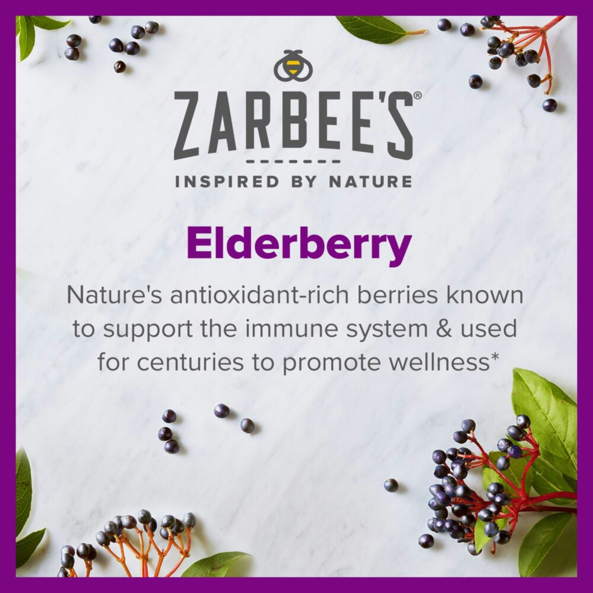 Zarbee's Daily Immune Support Syrup