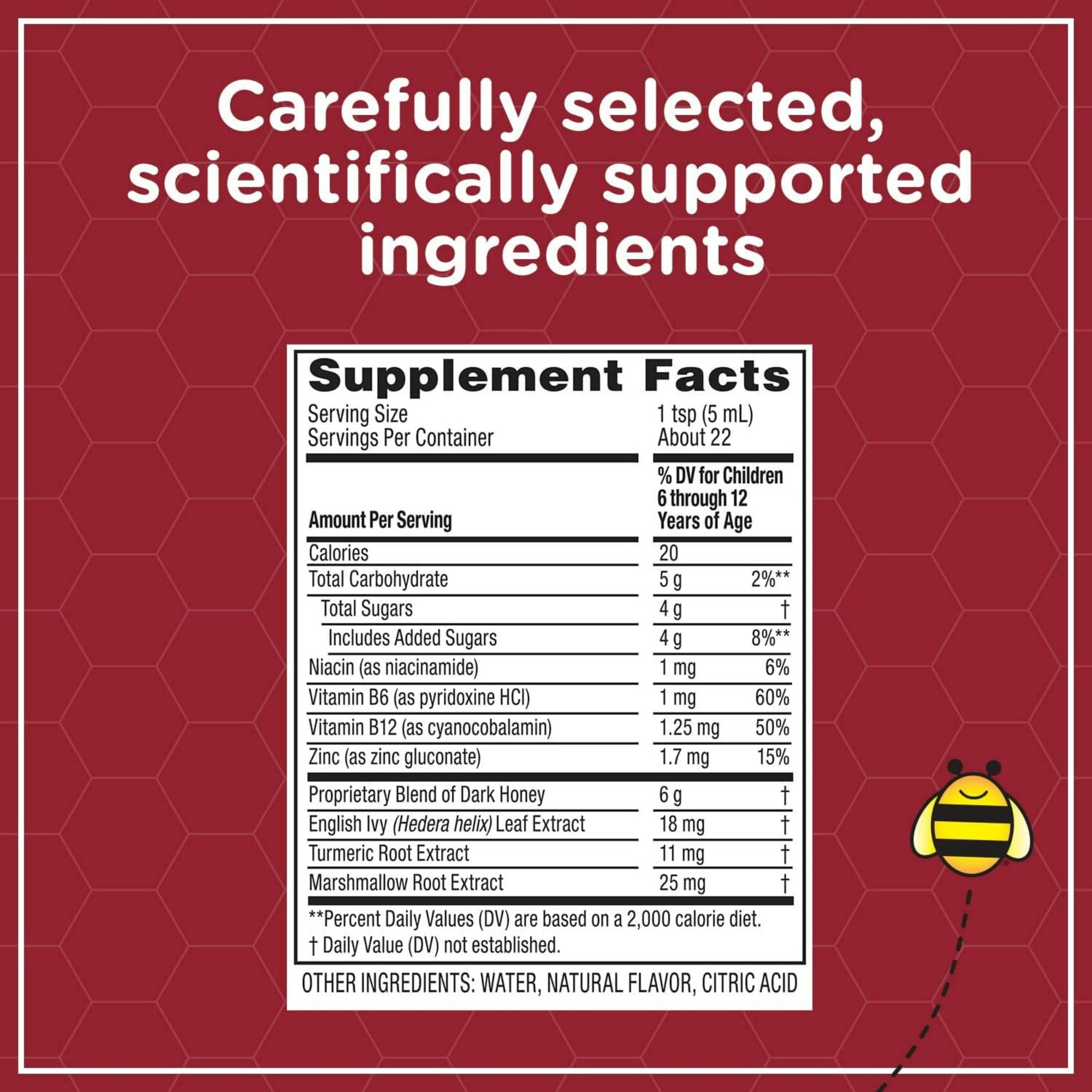 Zarbee's Children's All-in-One Daytime Cough Syrup