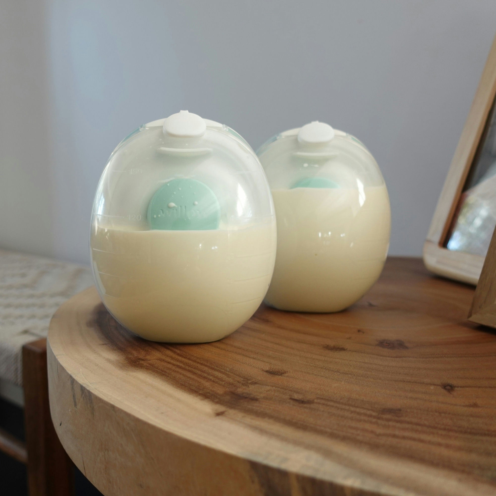 Willow Go Containers with Splashguard