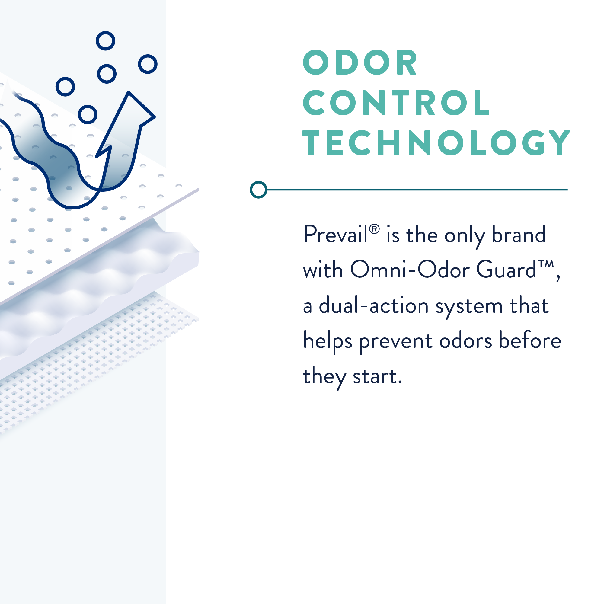 Prevail Male Guards, Maximum