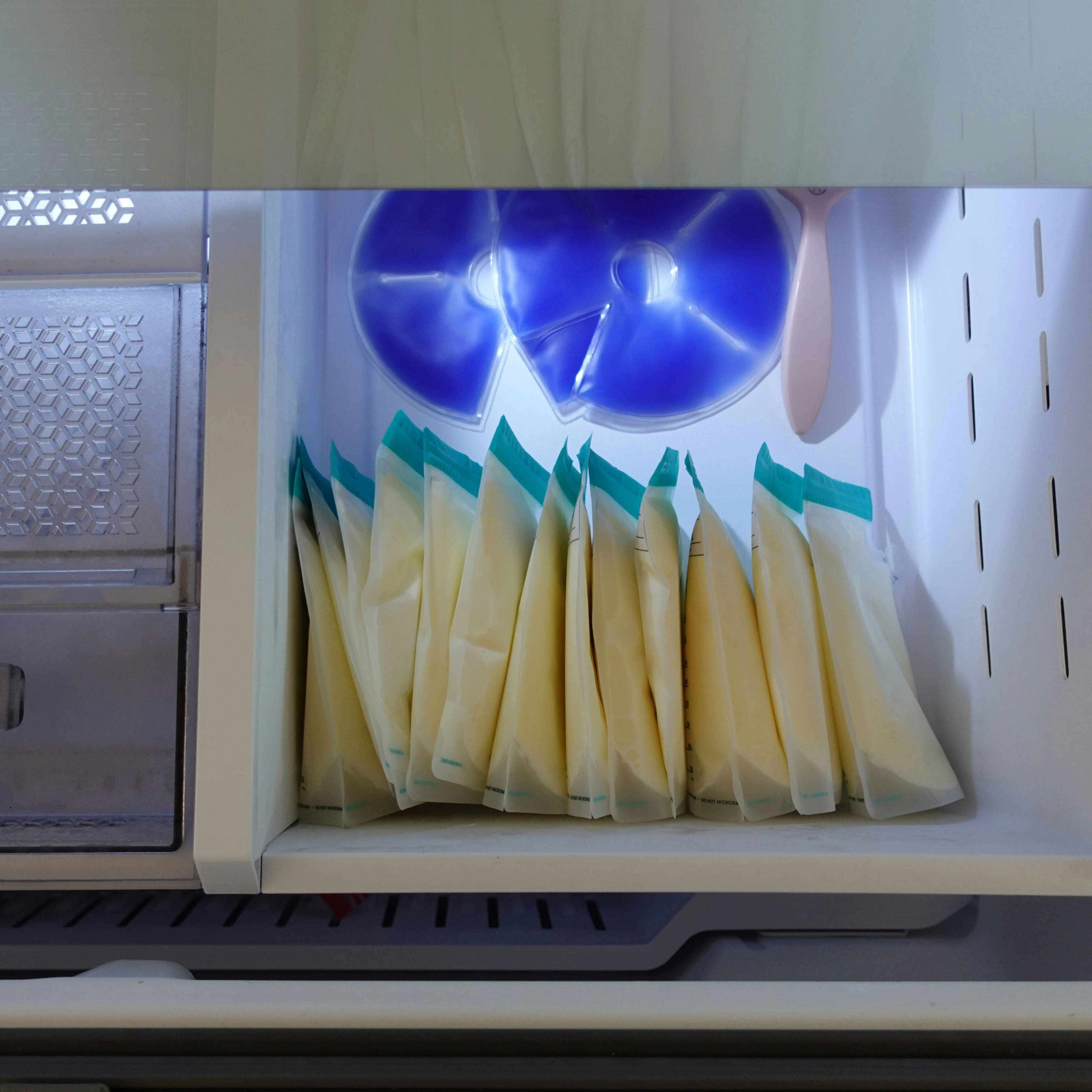 Willow Breast Milk Storage Bags