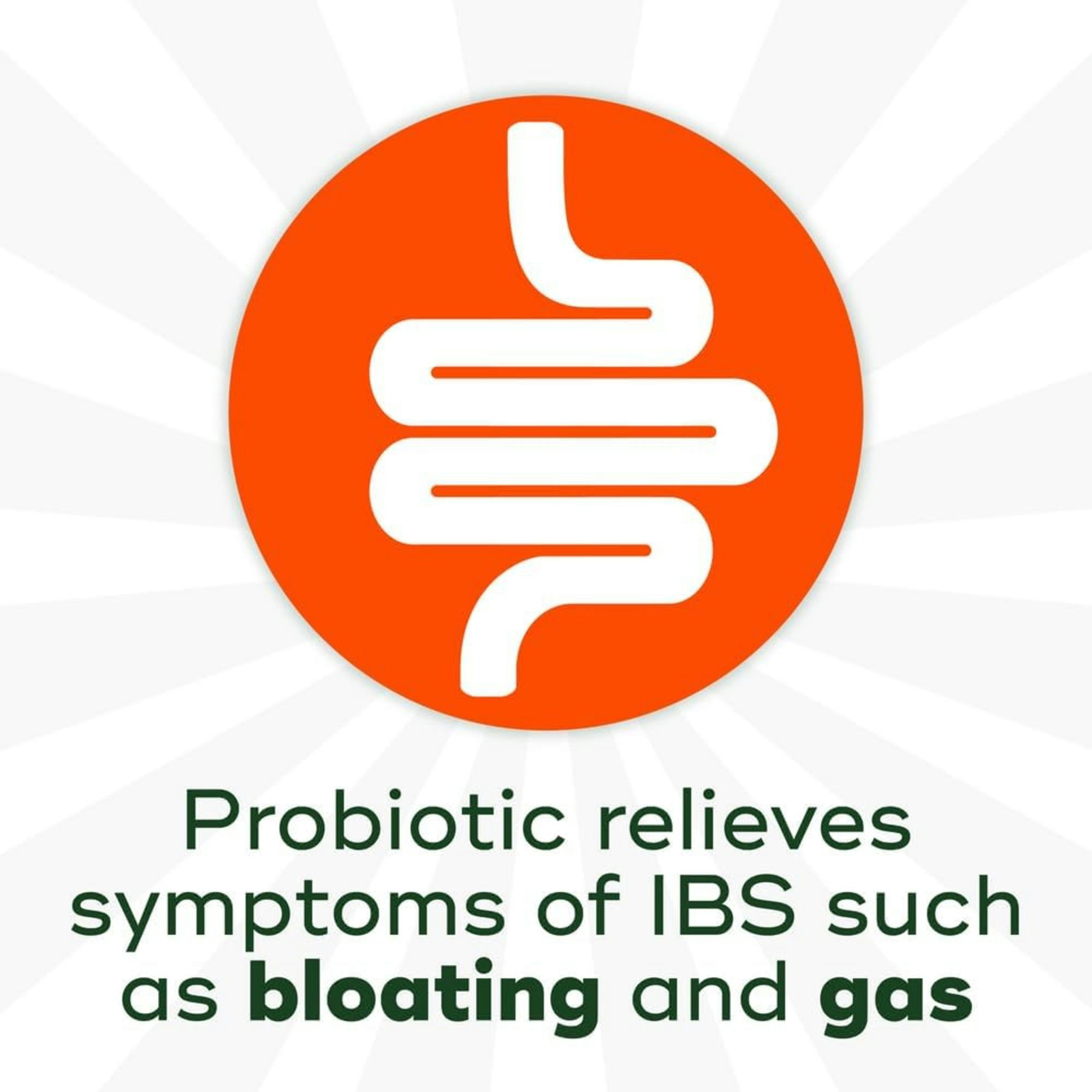 Align Probiotic 24/7 Digestive Support Supplement