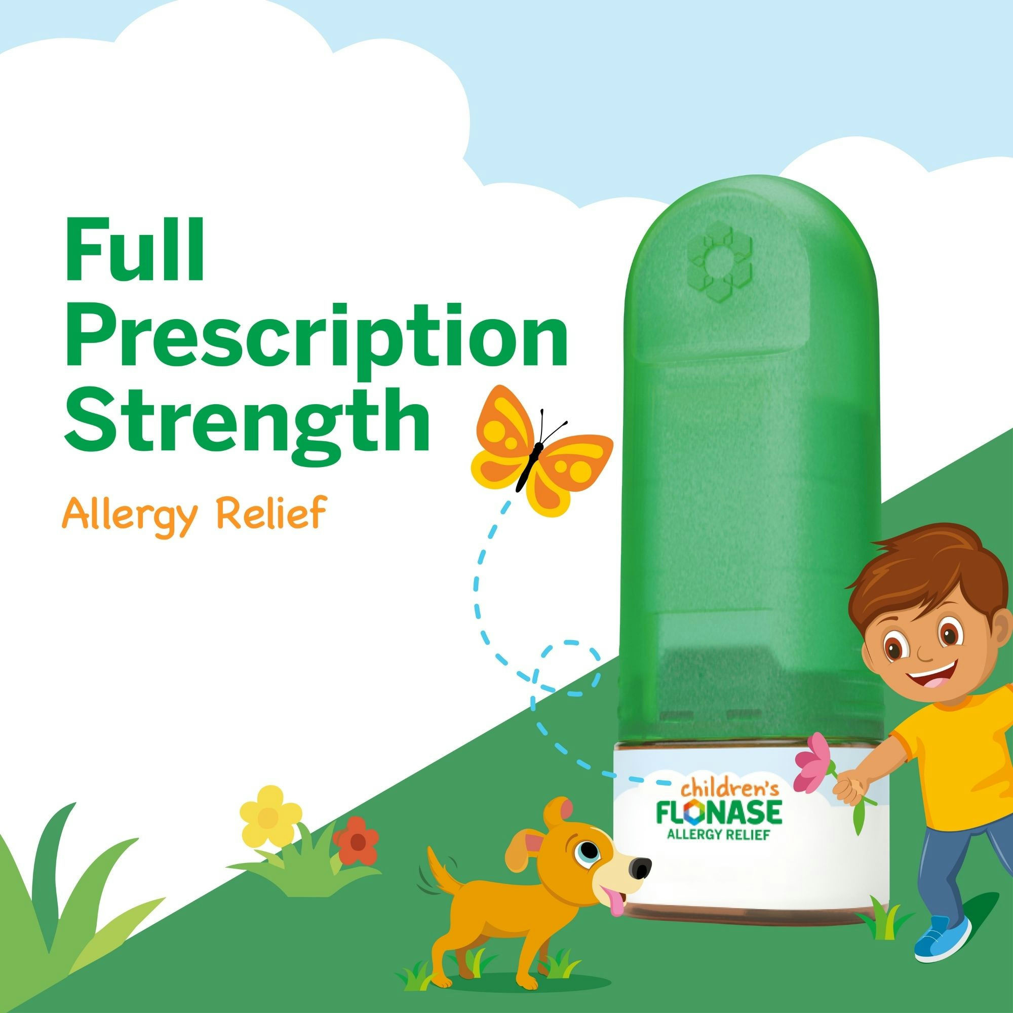 Flonase Children's 24 Hour Allergy Relief Nasal Spray