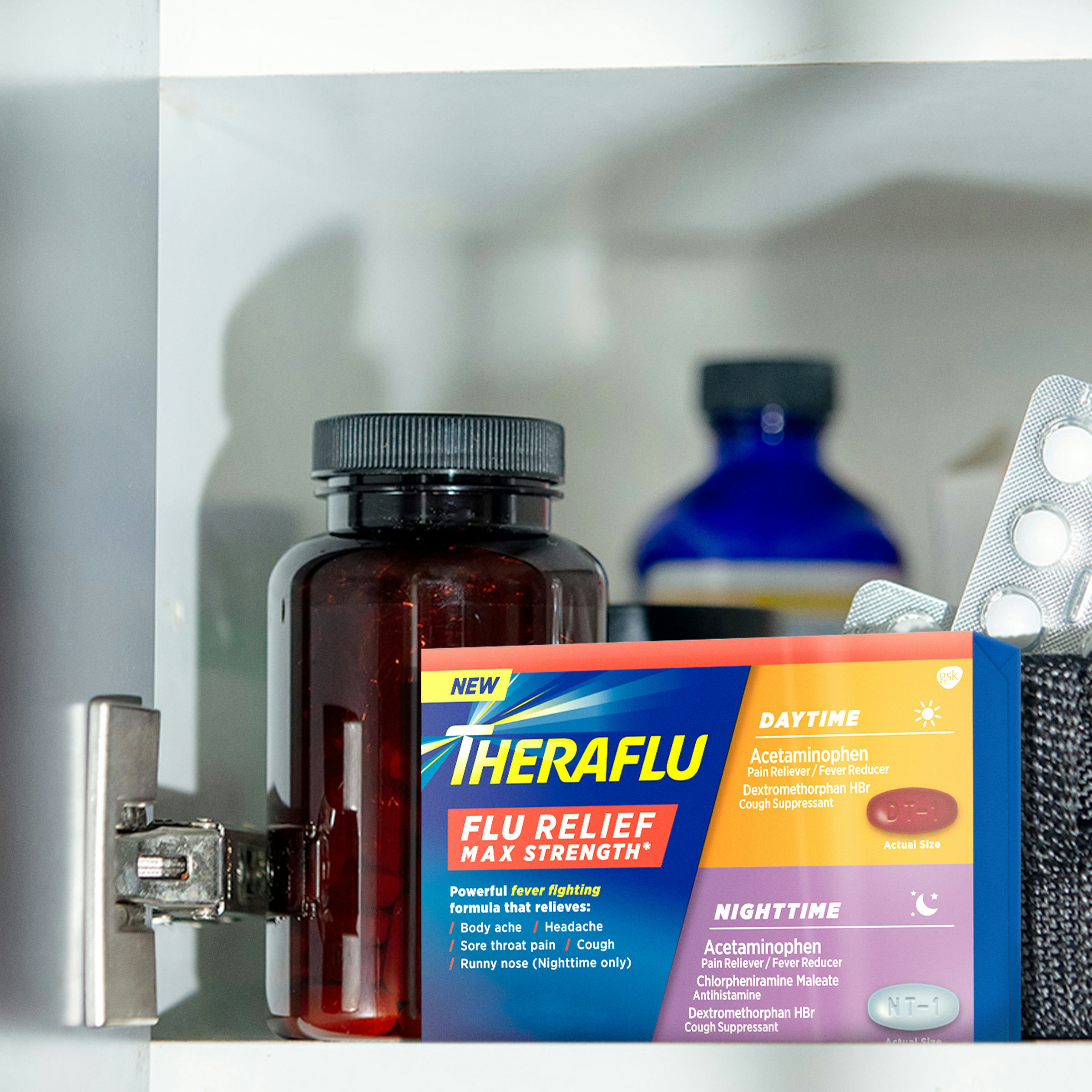 Theraflu Max Strength Daytime & Nighttime Flu Symptom Relief Combo Pack Caplets