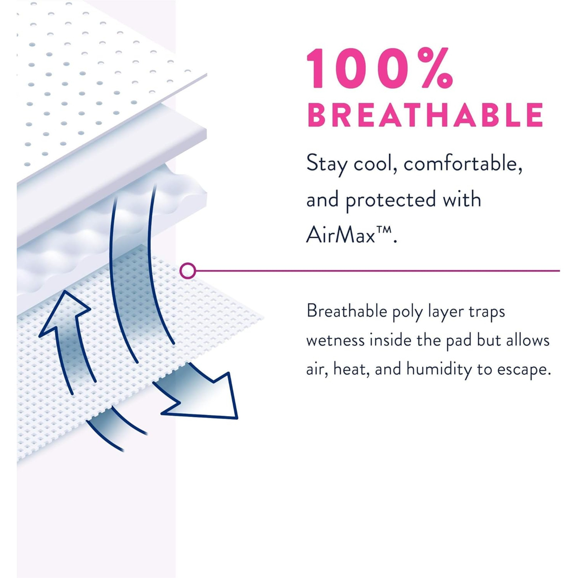 Prevail Adult Incontinence Protective Pull-Up Underwear for Women, Maximum Absorbency