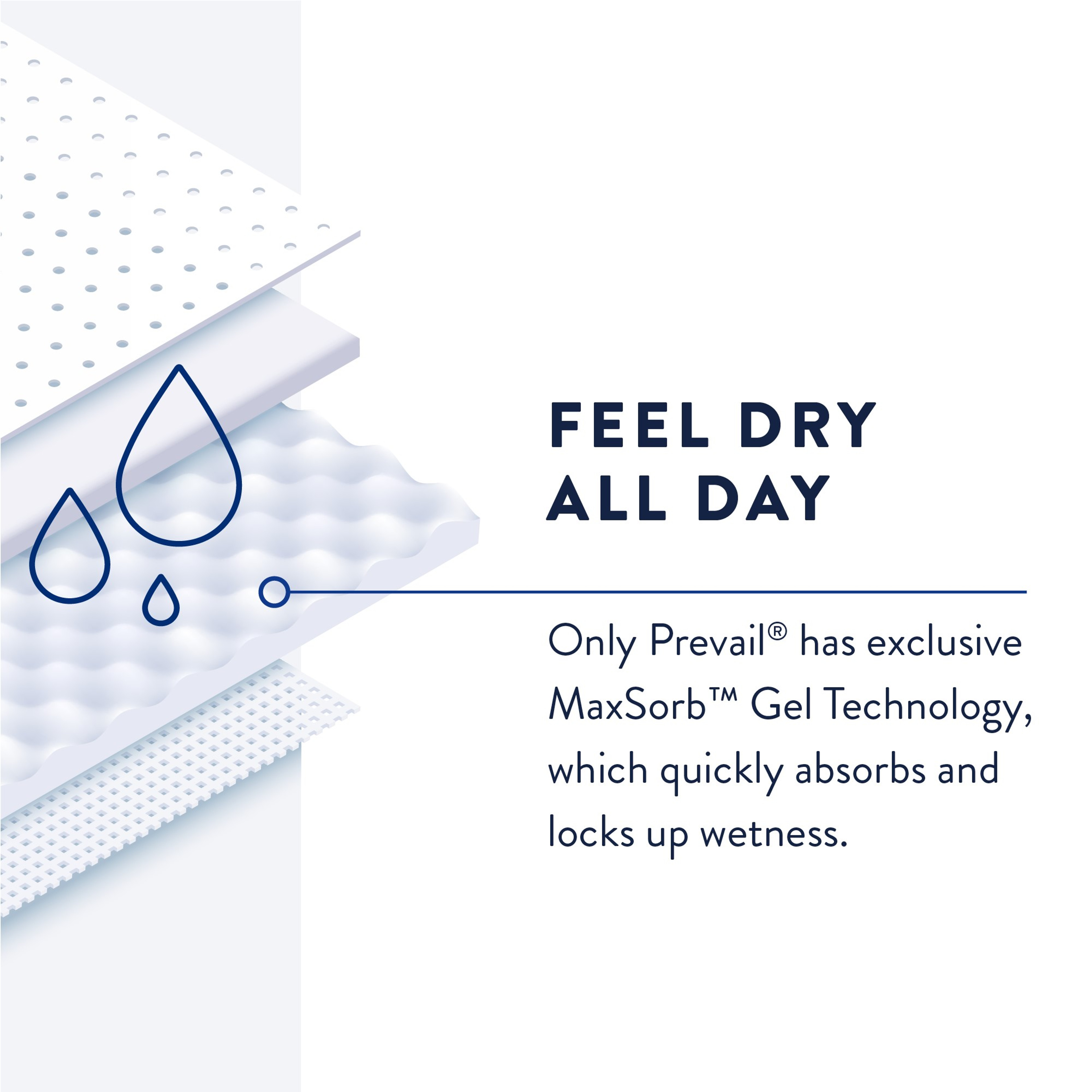 Prevail Belted Shields, Extra