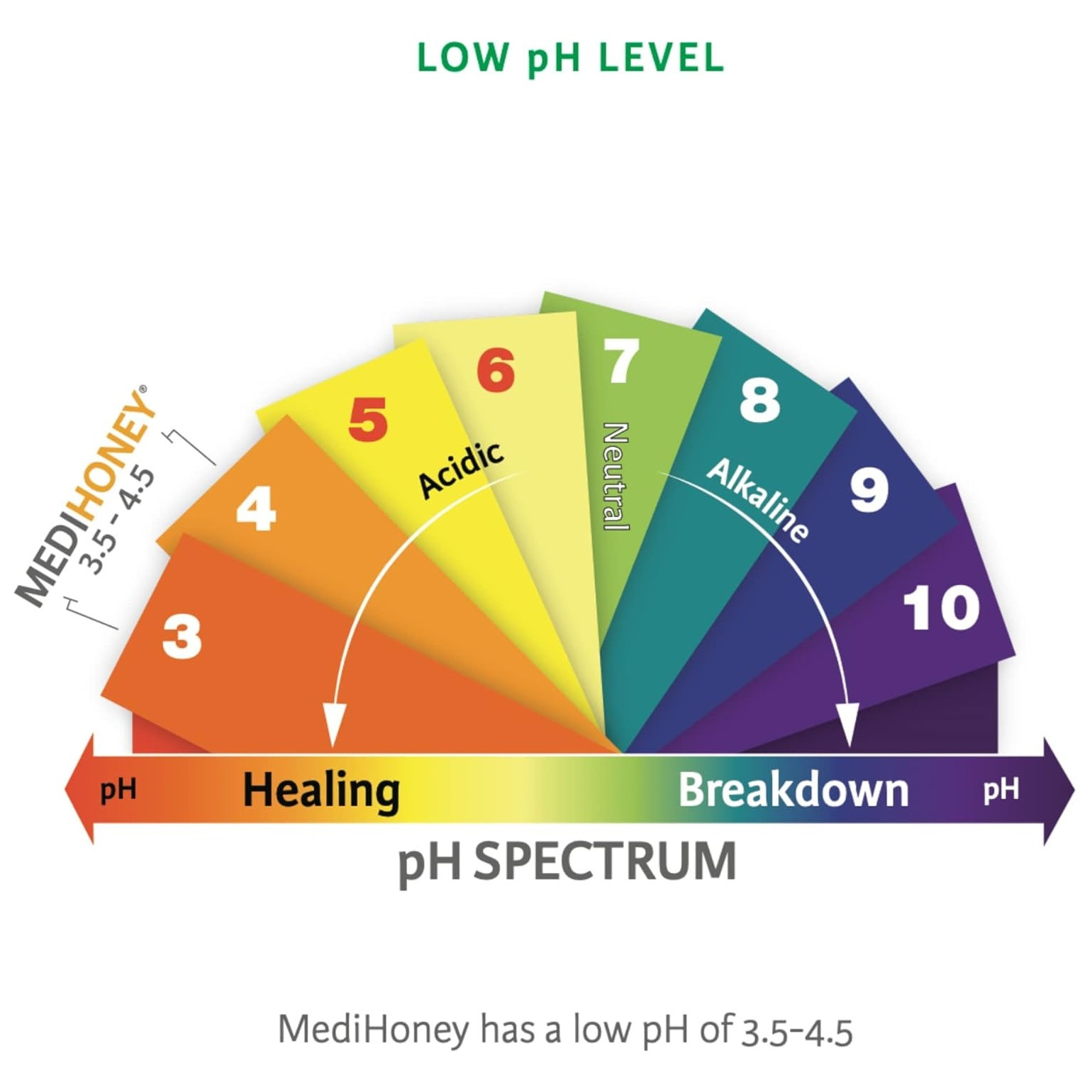 MediHoney Wound and Burn Dressing Paste
