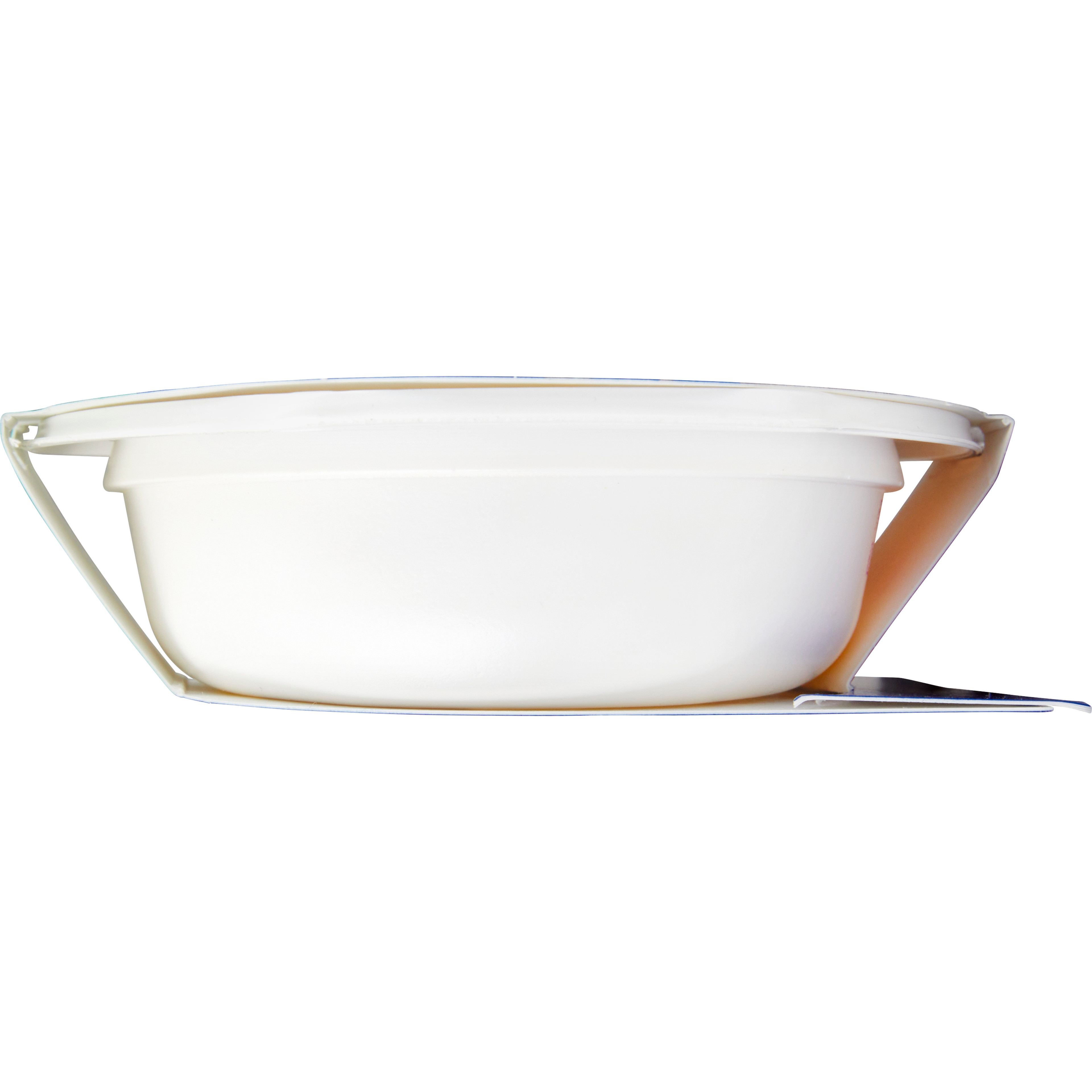 Thick & Easy Purees, Roasted Chicken with Potatoes and Carrots