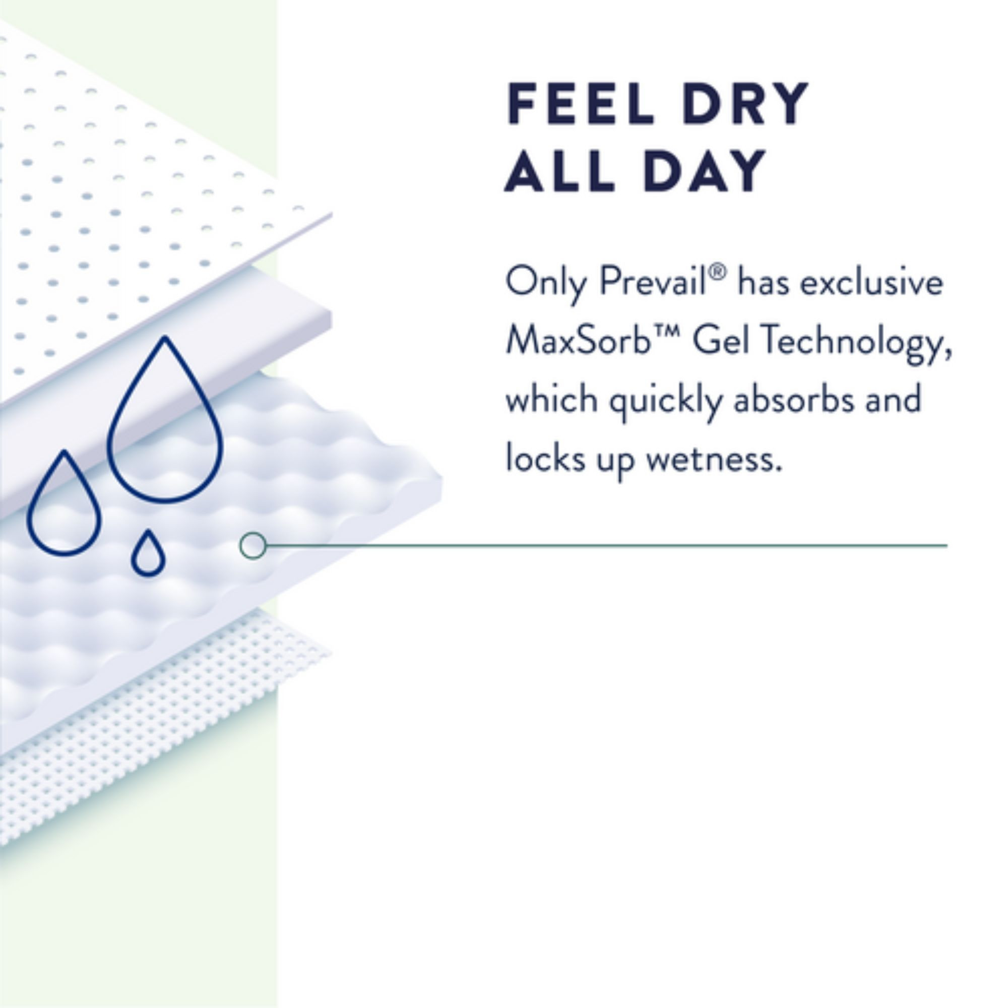 Prevail Daily Adult Diapers with Tabs, Maximum