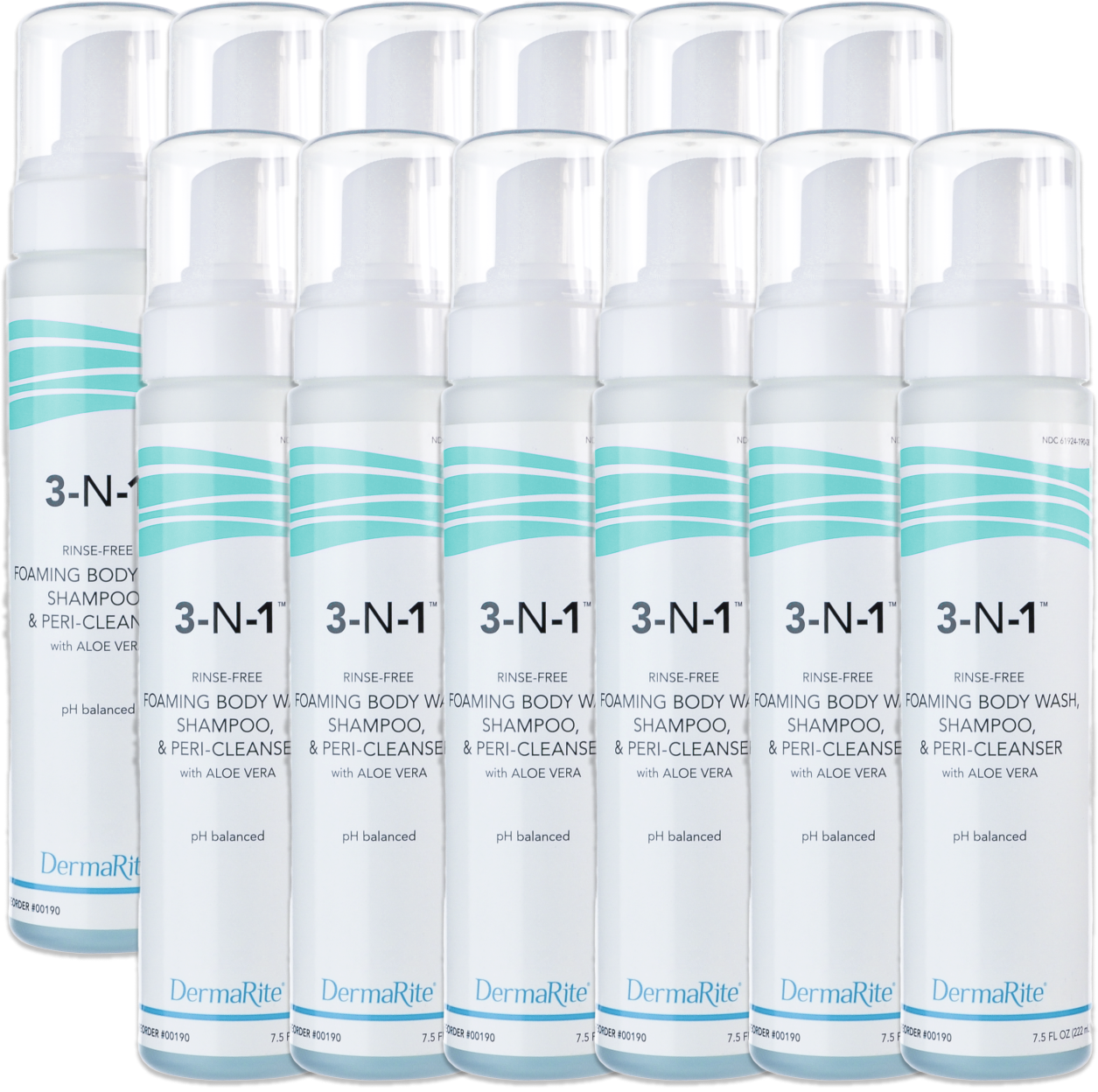 DermaRite 3-N-1 Cleansing Foam Body Wash