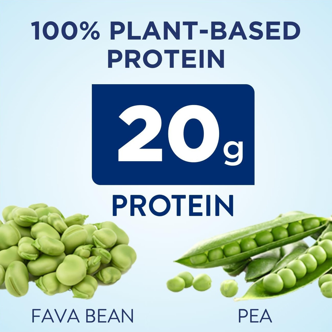 Ensure Plant-Based Protein Nutritional Shake, Carton