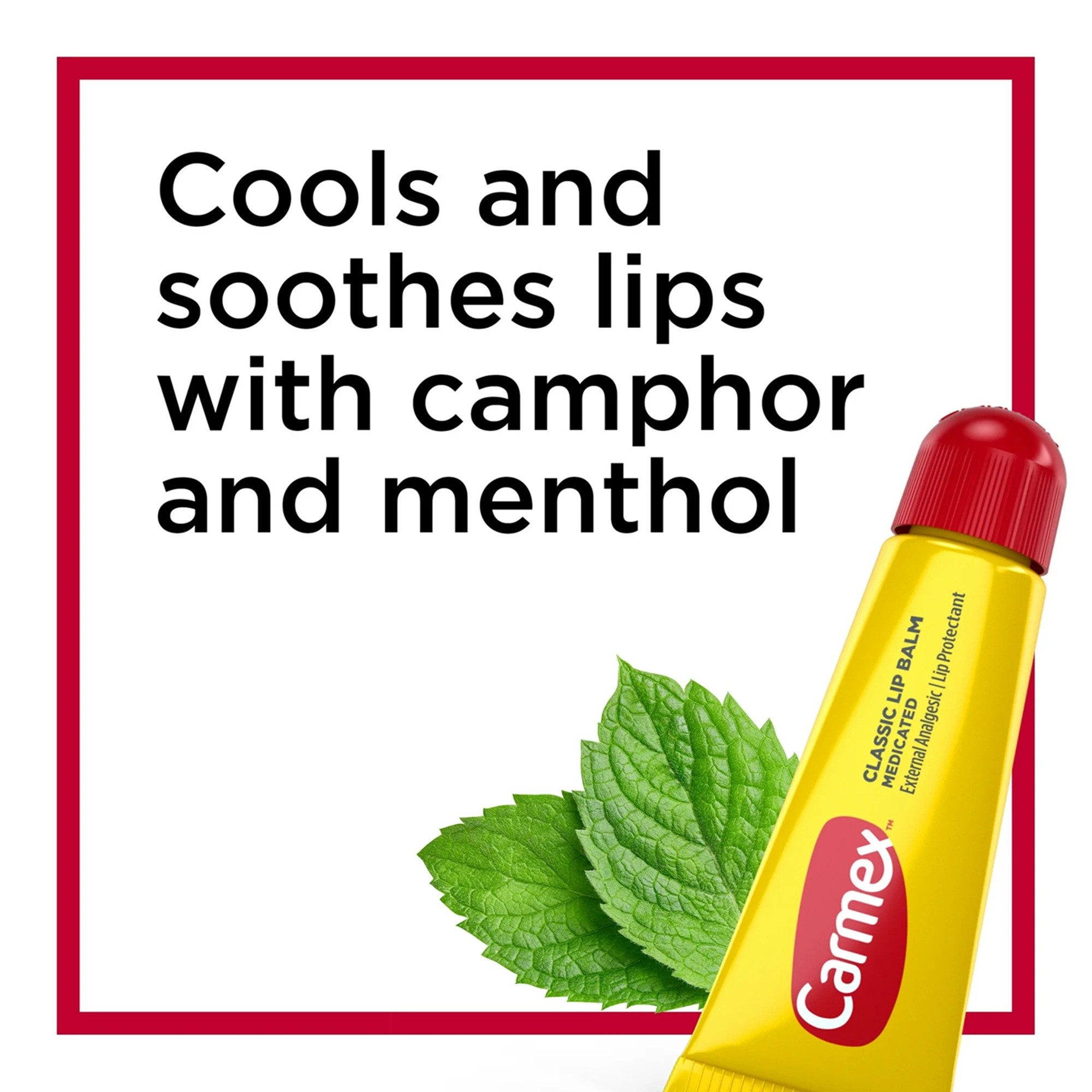 Carmex Classic Medicated Lip Balm Tube